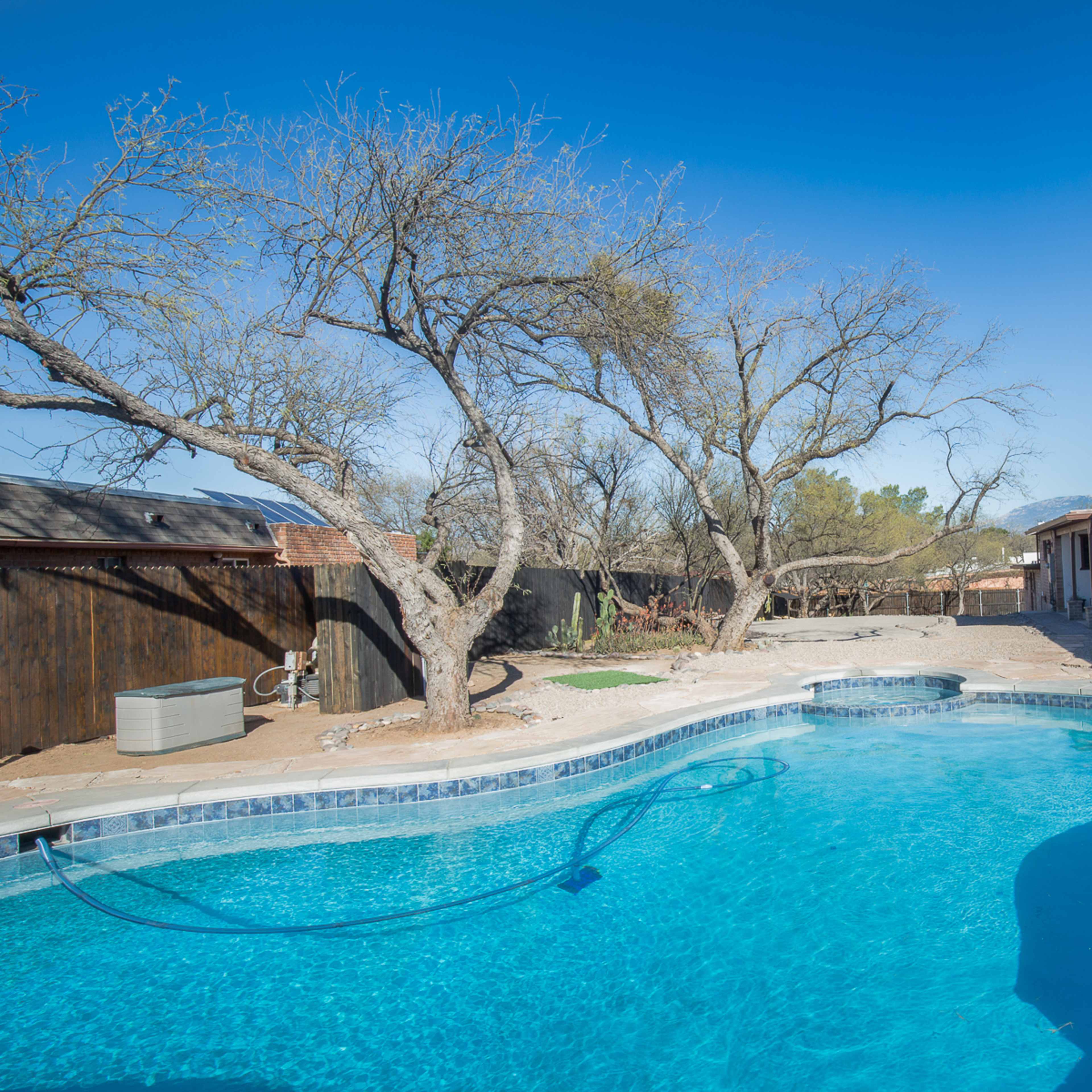 A backyard with a swimming pool surrounded by bare trees and a sandy area, adjacent to a house.