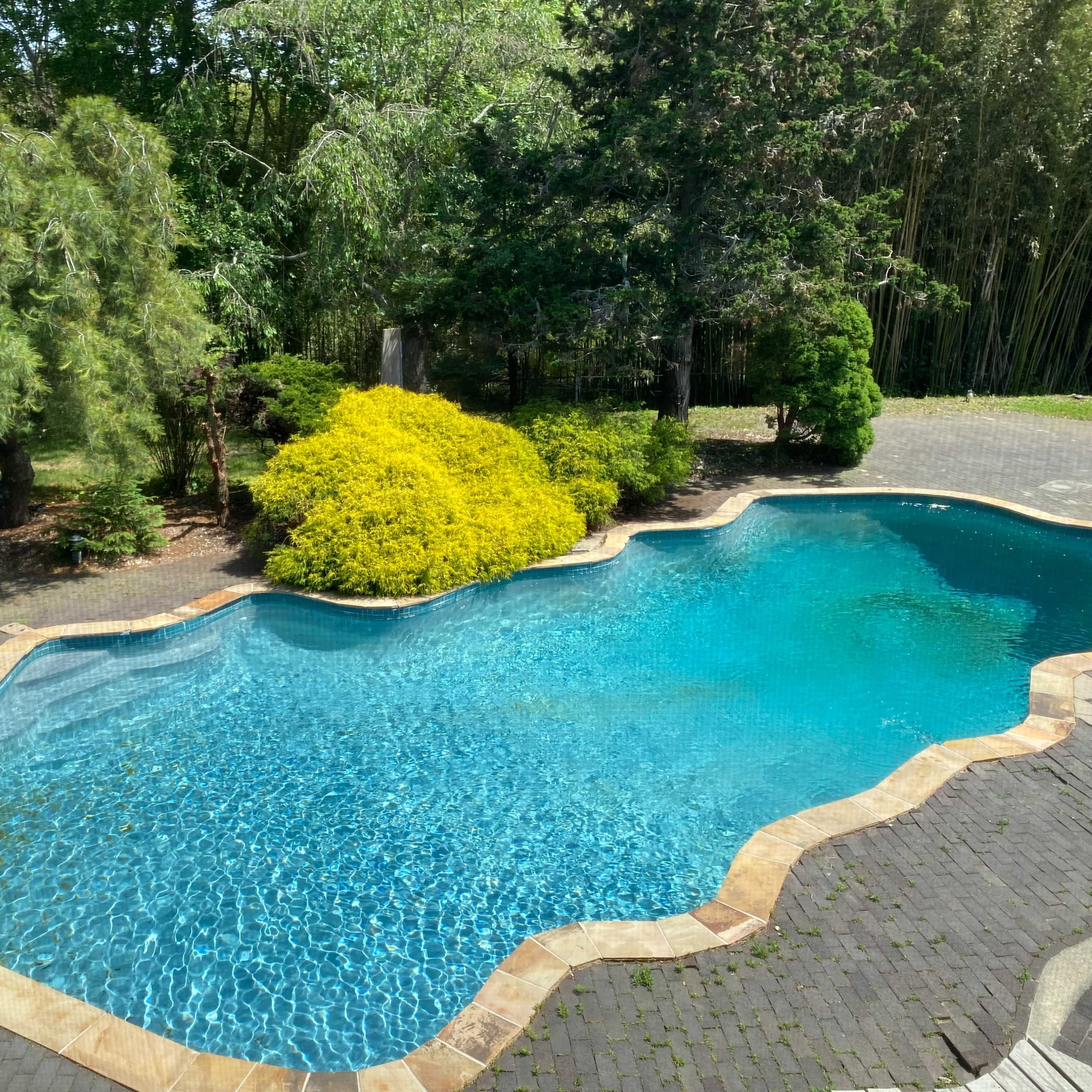 A turquoise swimming pool surrounded by greenery and a stone patio.