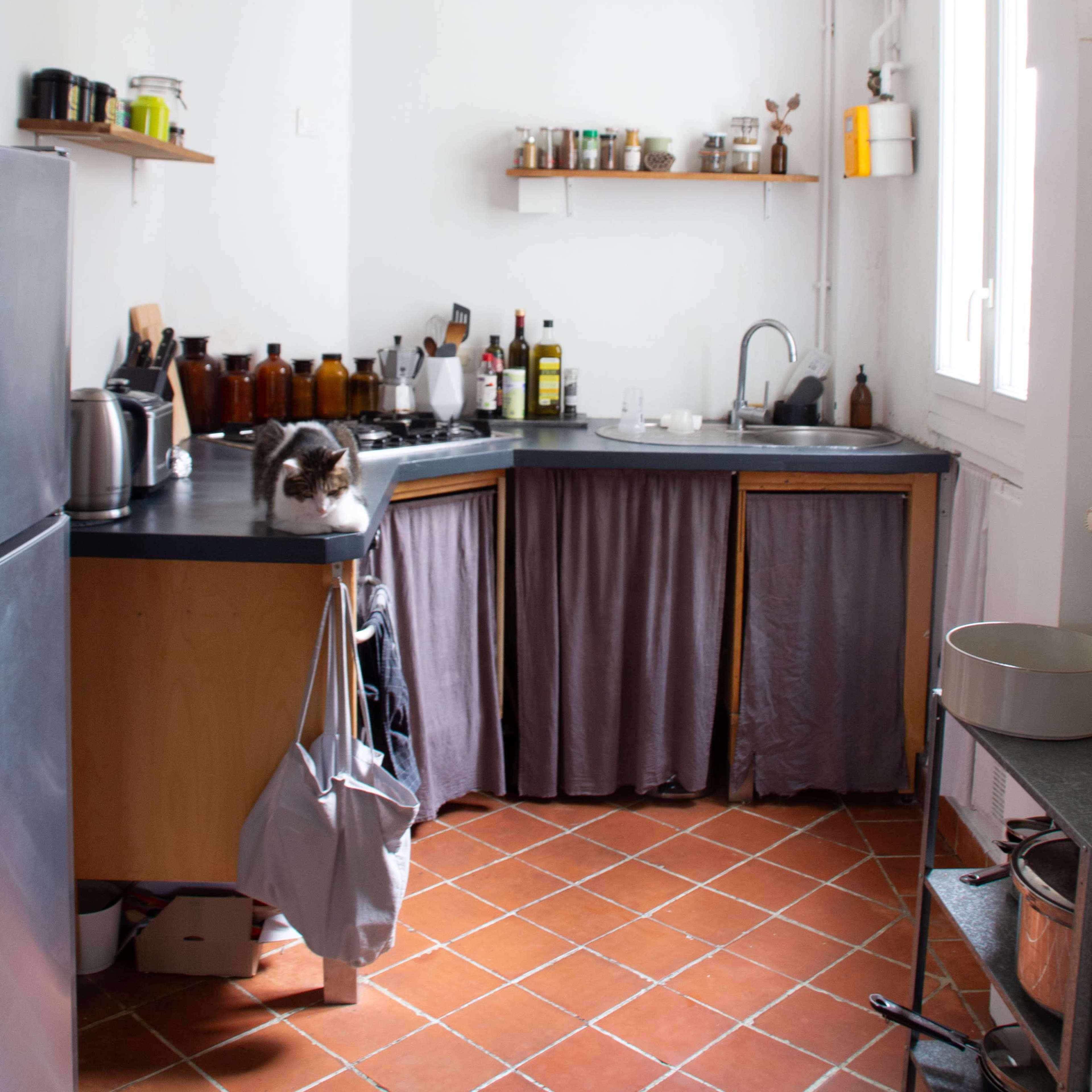 A minimalist kitchen features wooden cabinets with fabric curtains, a stainless steel sink, and a cat sitting on the countertop.
