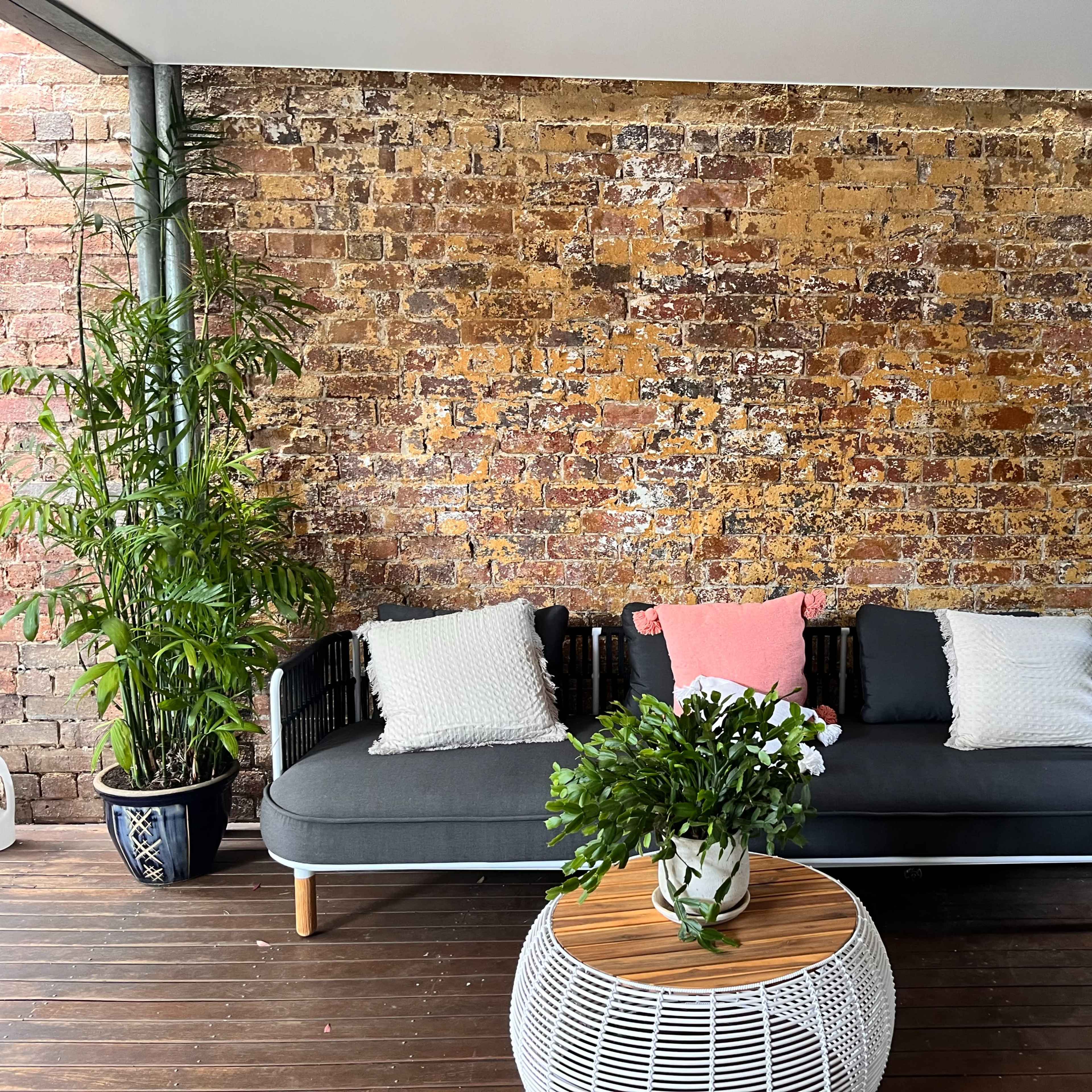 Inner city house with light and character Image in Rozelle, Sydney, NSW