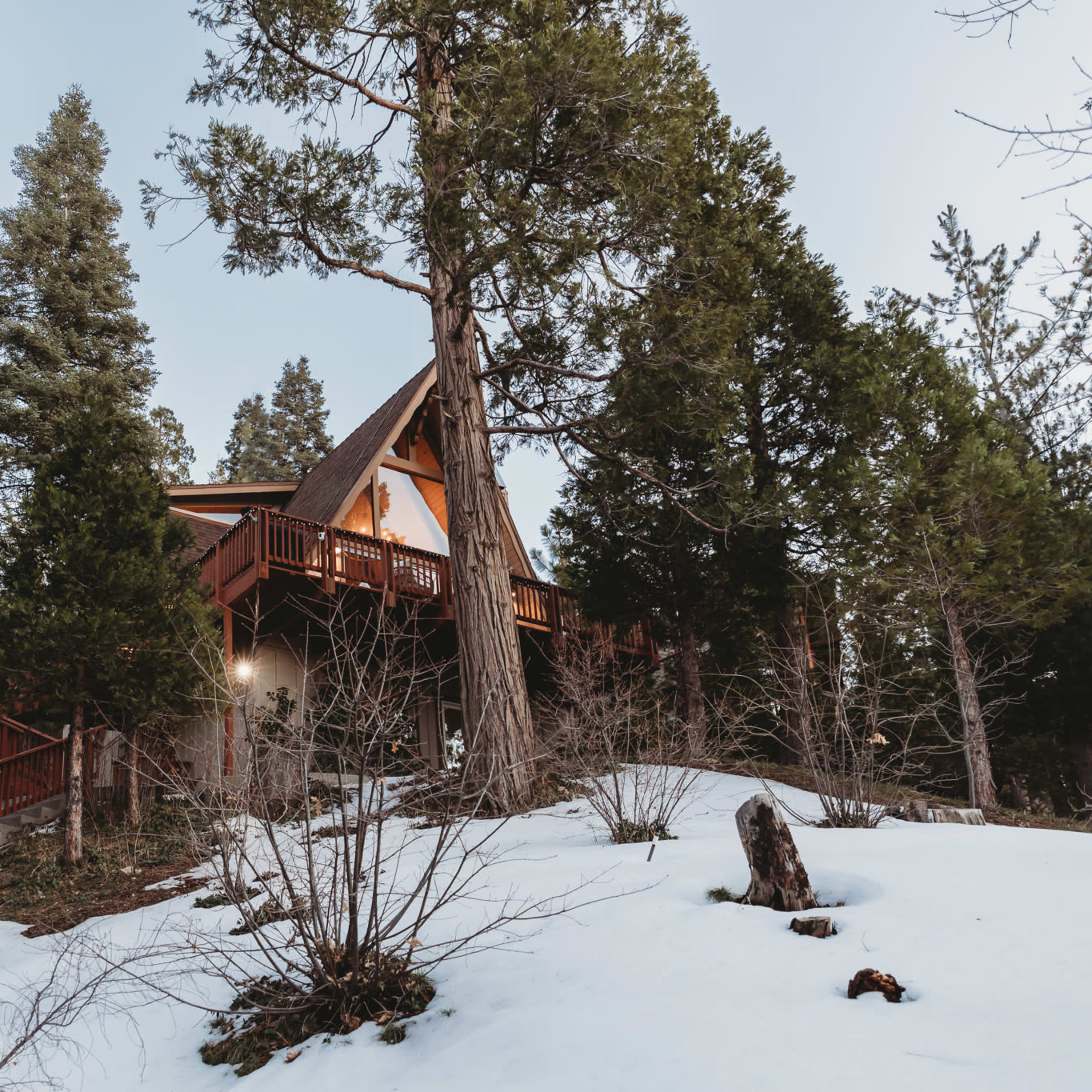 A wooden A-frame cabin sits among tall evergreen trees on a snowy landscape.