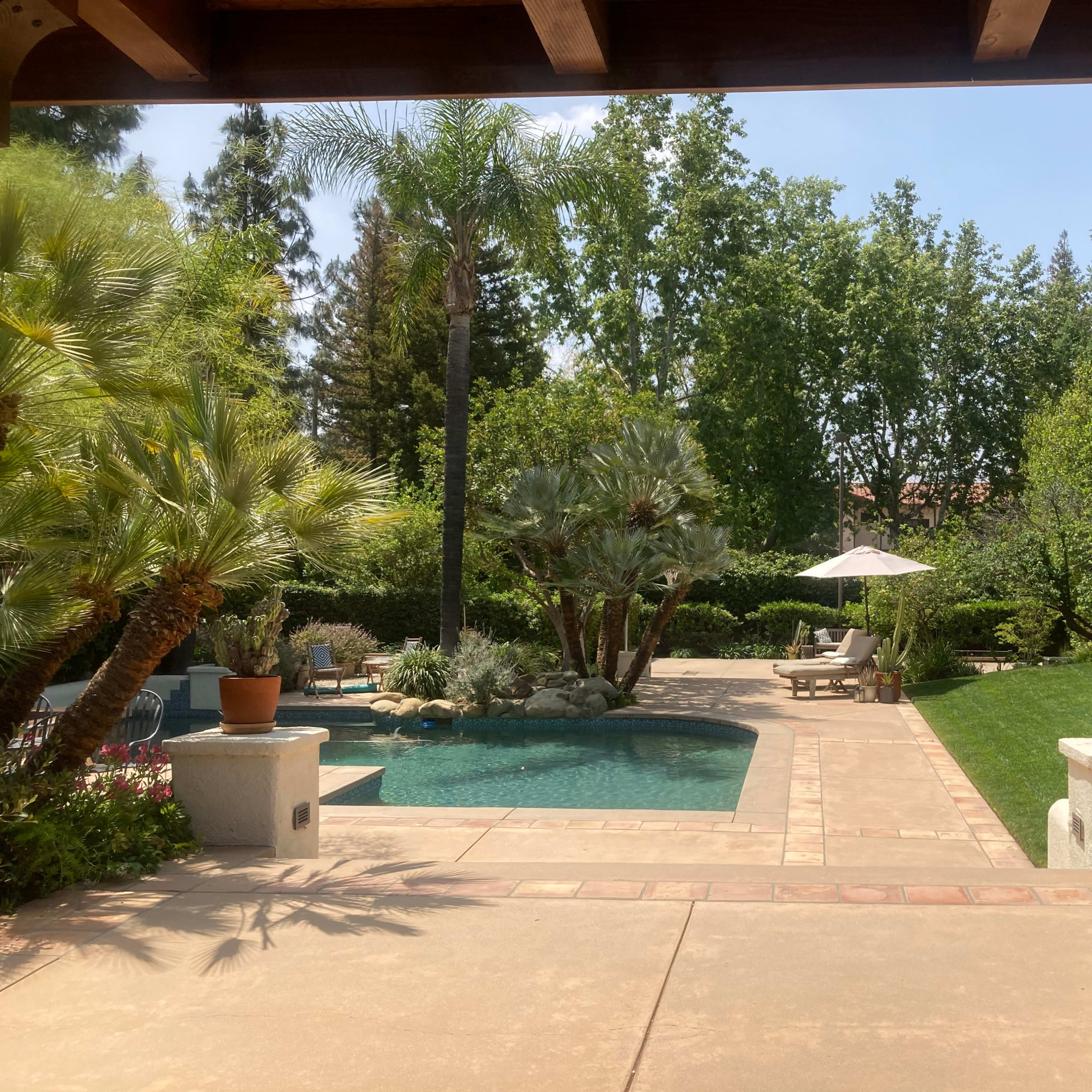 A well-landscaped backyard featuring a swimming pool, lounge chairs, a large umbrella, and various plants surrounded by trees.