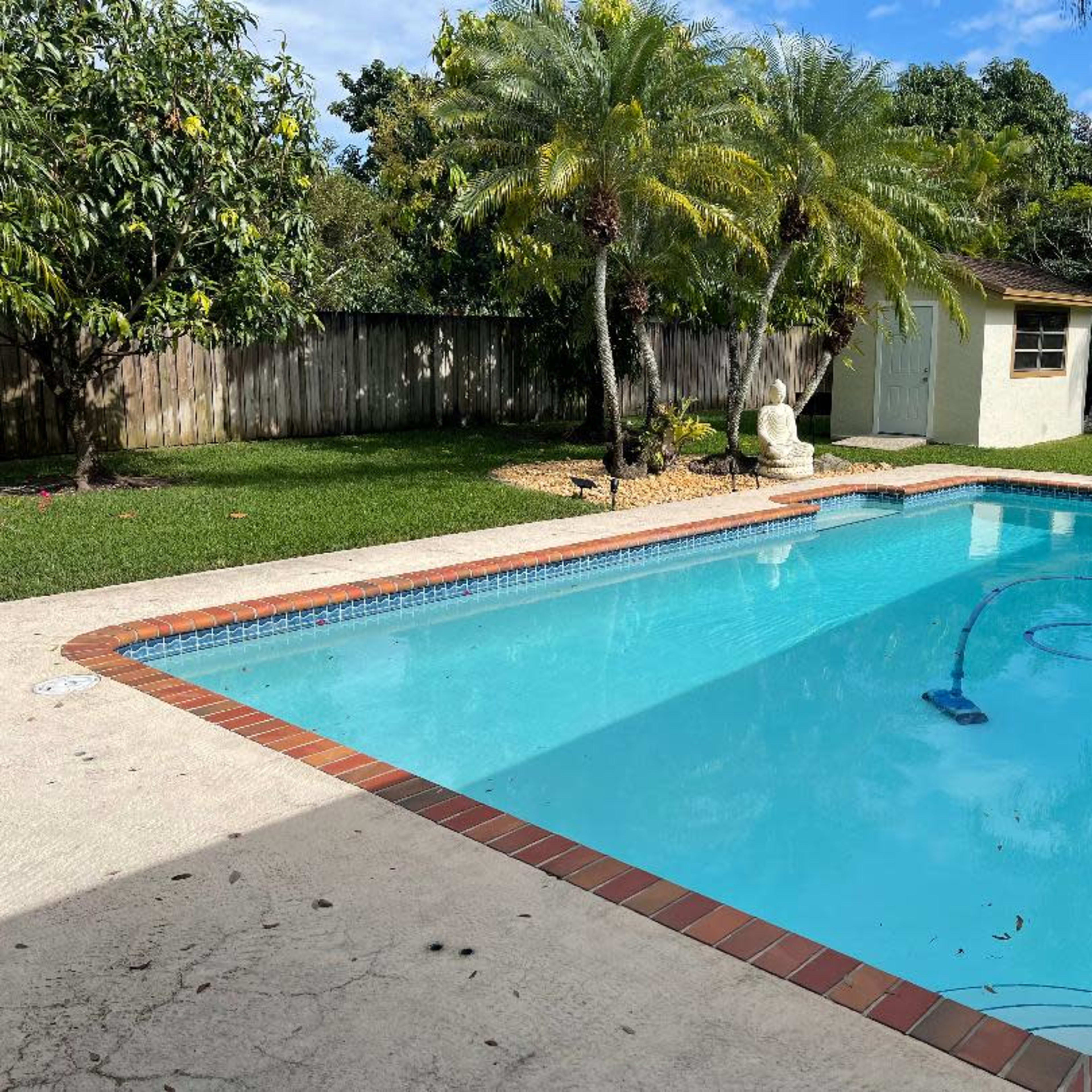 A rectangular swimming pool with clear blue water, surrounded by a concrete deck, a grass area, and palm trees in a backyard setting.