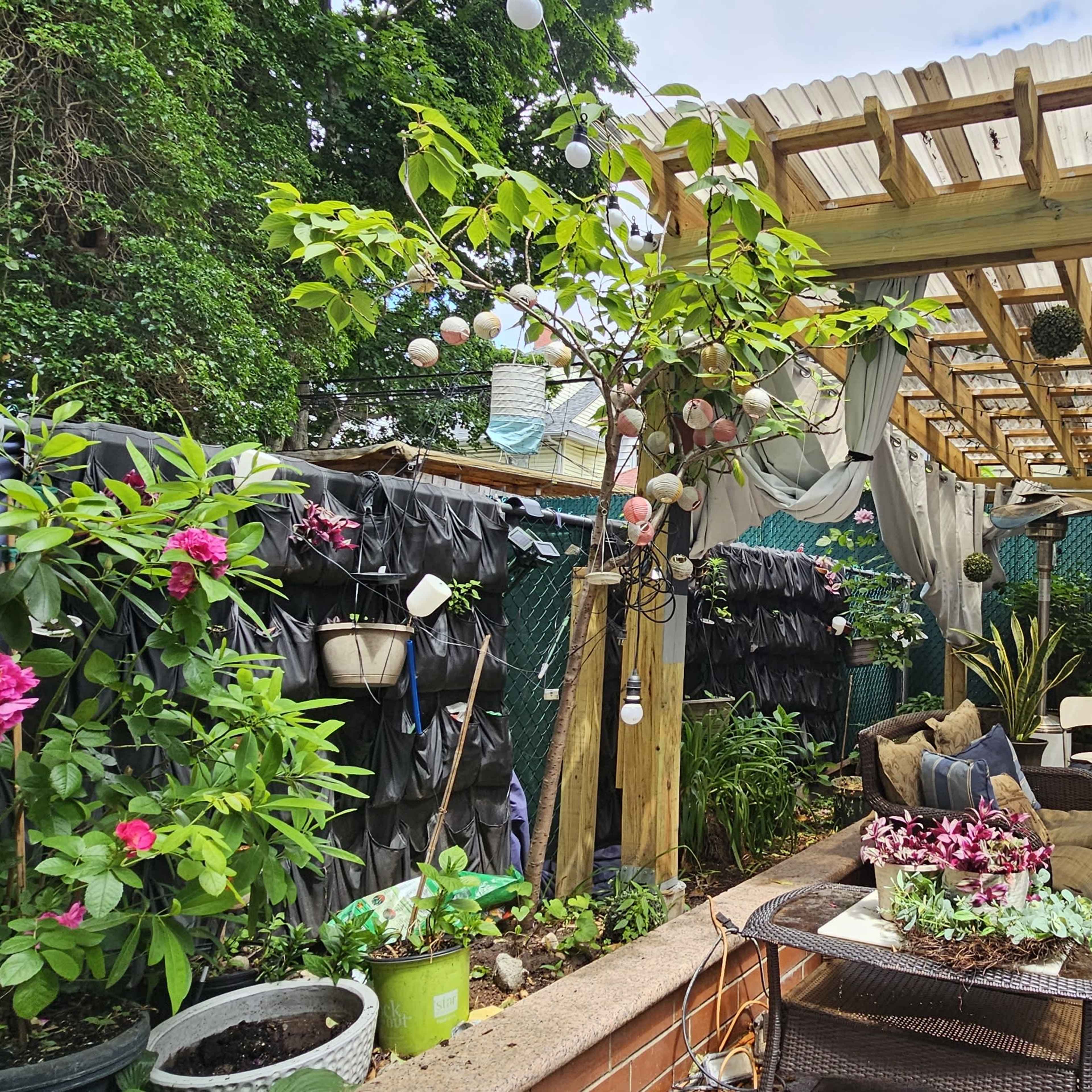 A covered outdoor patio area with plants, seating, and decorative elements surrounded by greenery.