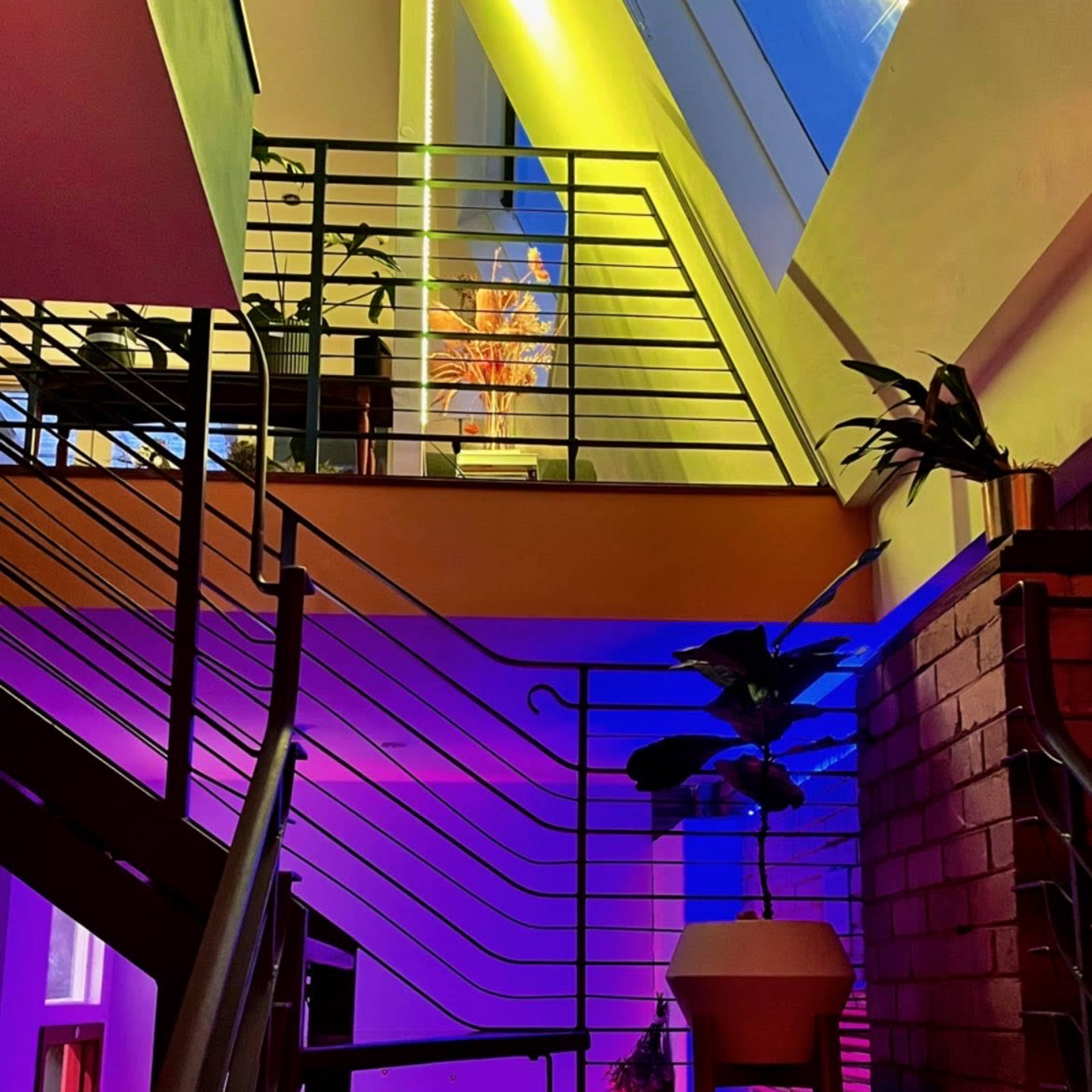 A modern staircase with vibrant lighting and plants, showcasing an open, bright interior space.