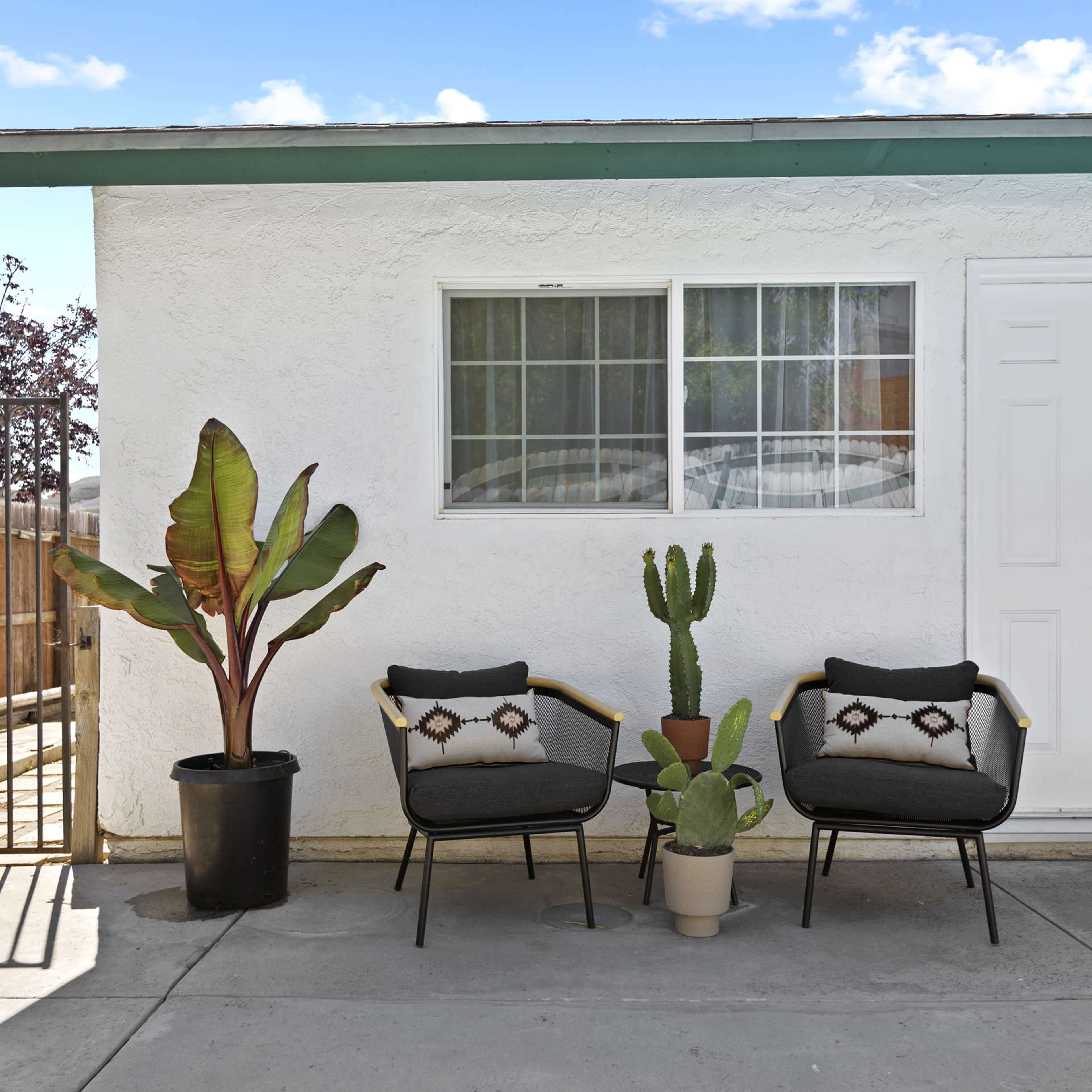 Two modern chairs with patterned cushions sit on a concrete patio next to a large plant and a small potted cactus, in front of a white wall with a window and door.