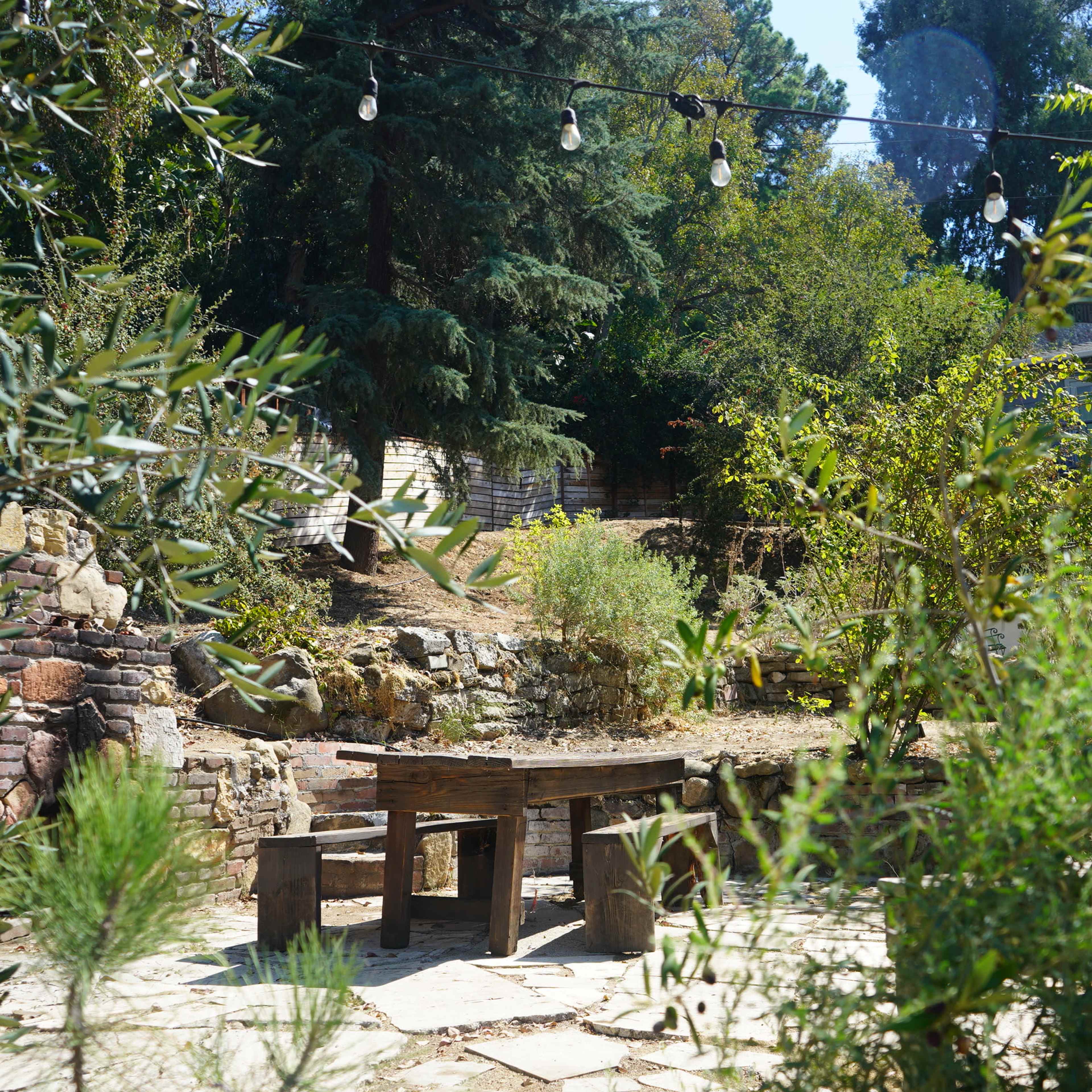 A rustic wooden table surrounded by greenery in a garden setting.
