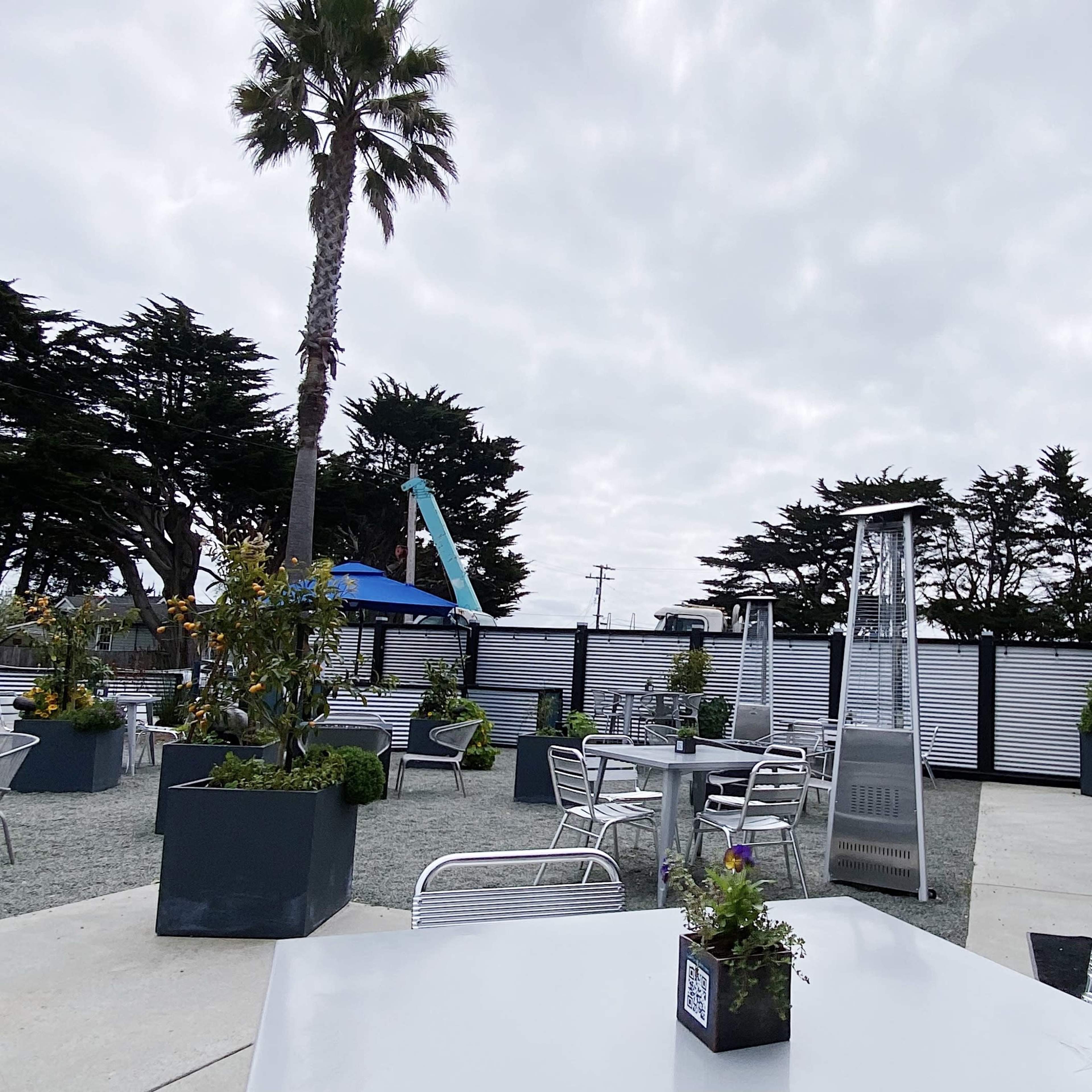 An outdoor seating area of a distillery with tables, potted plants, and palm trees under a cloudy sky.