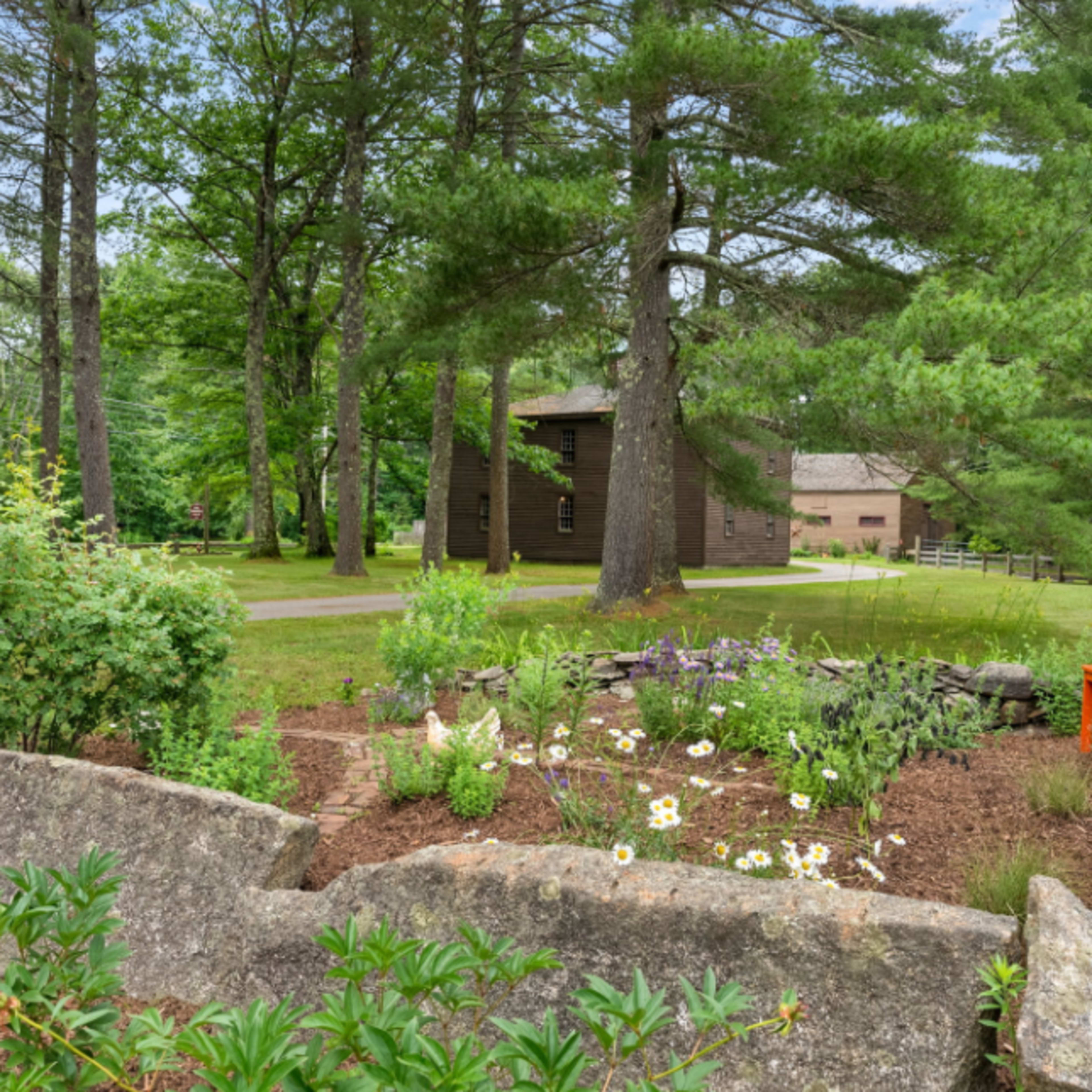 A garden with flowers and shrubs in the foreground, surrounded by large rocks, with a rustic wooden building and trees in the background.