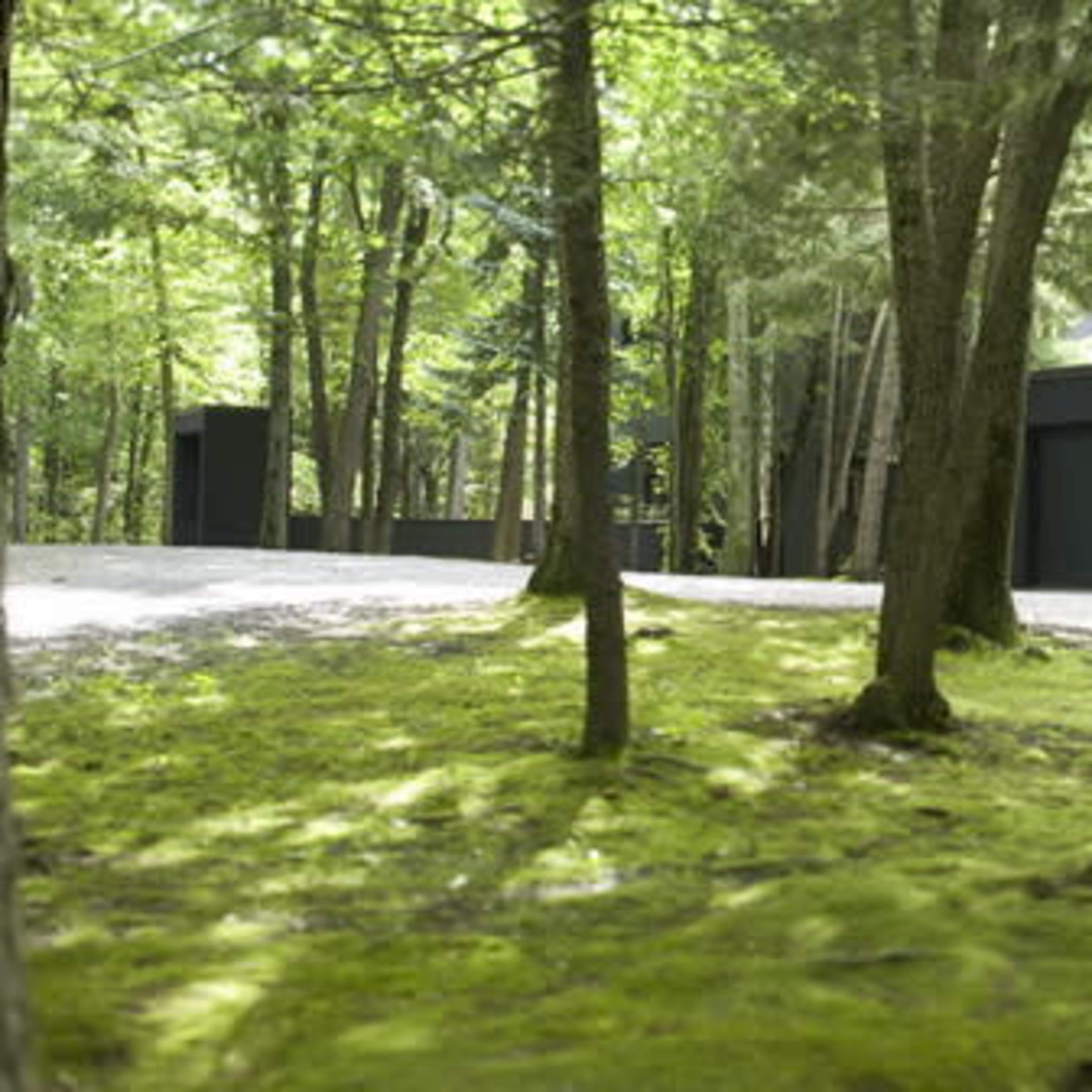 A modern building is situated among tall trees on a grassy, moss-covered landscape.