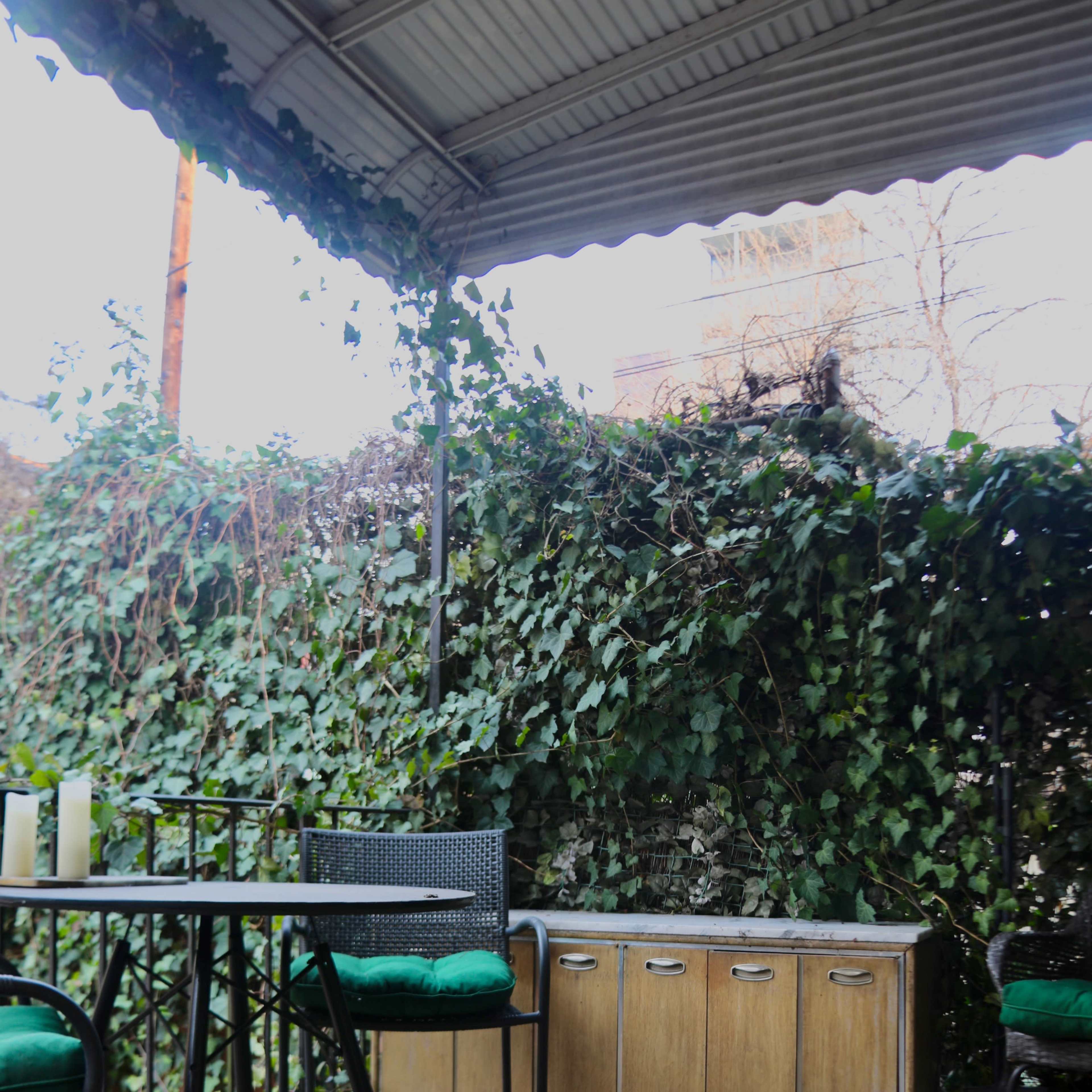 A small outdoor patio features a table and chairs with green cushions, surrounded by a leafy green wall and a wooden storage cabinet.
