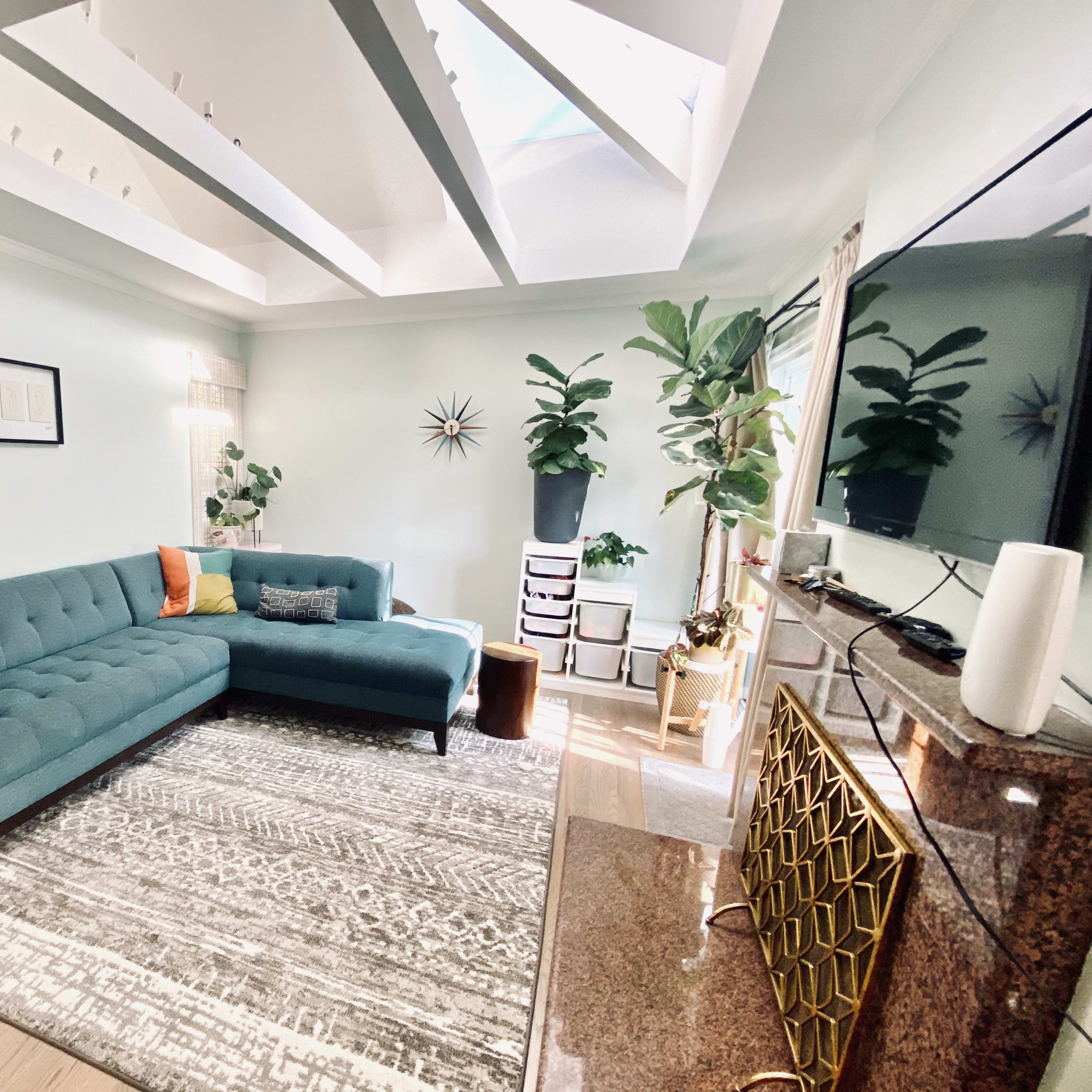 A modern living room featuring a teal sectional sofa, a patterned area rug, large indoor plants, and a flat-screen TV against a light-colored wall.