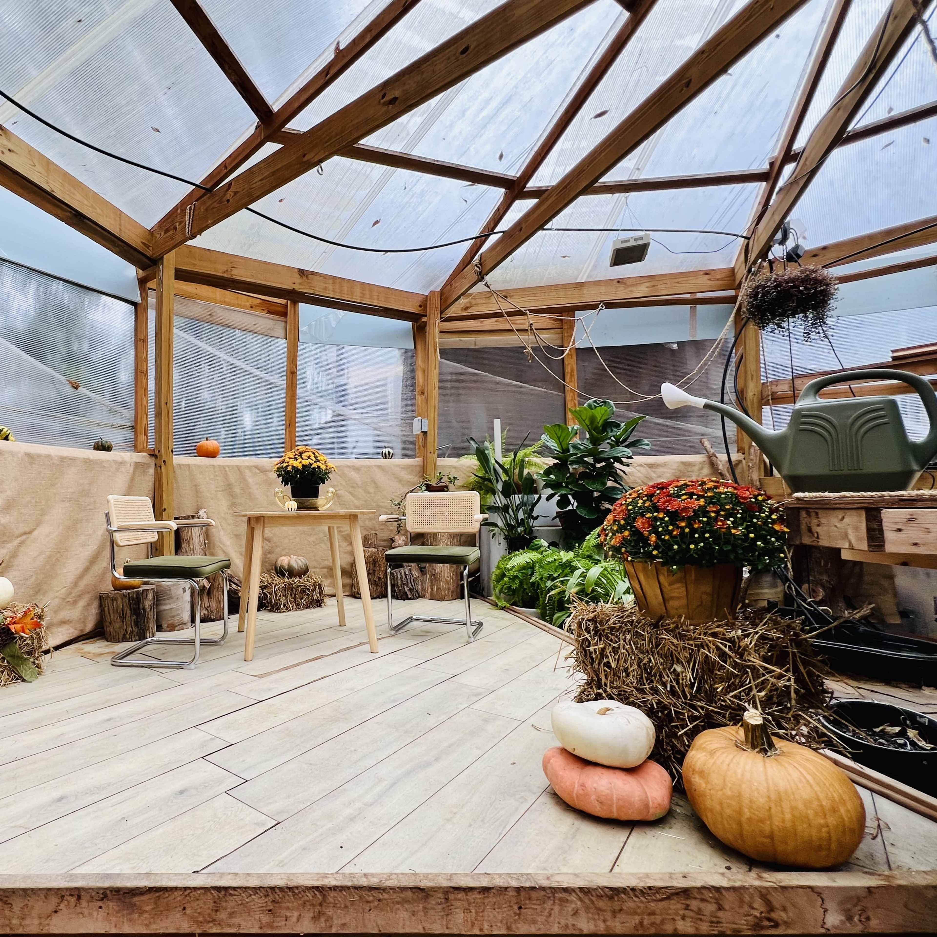 Cozy Greenhouse and Rustic Cottage Image in Peppertree Forest, Nashville, TN