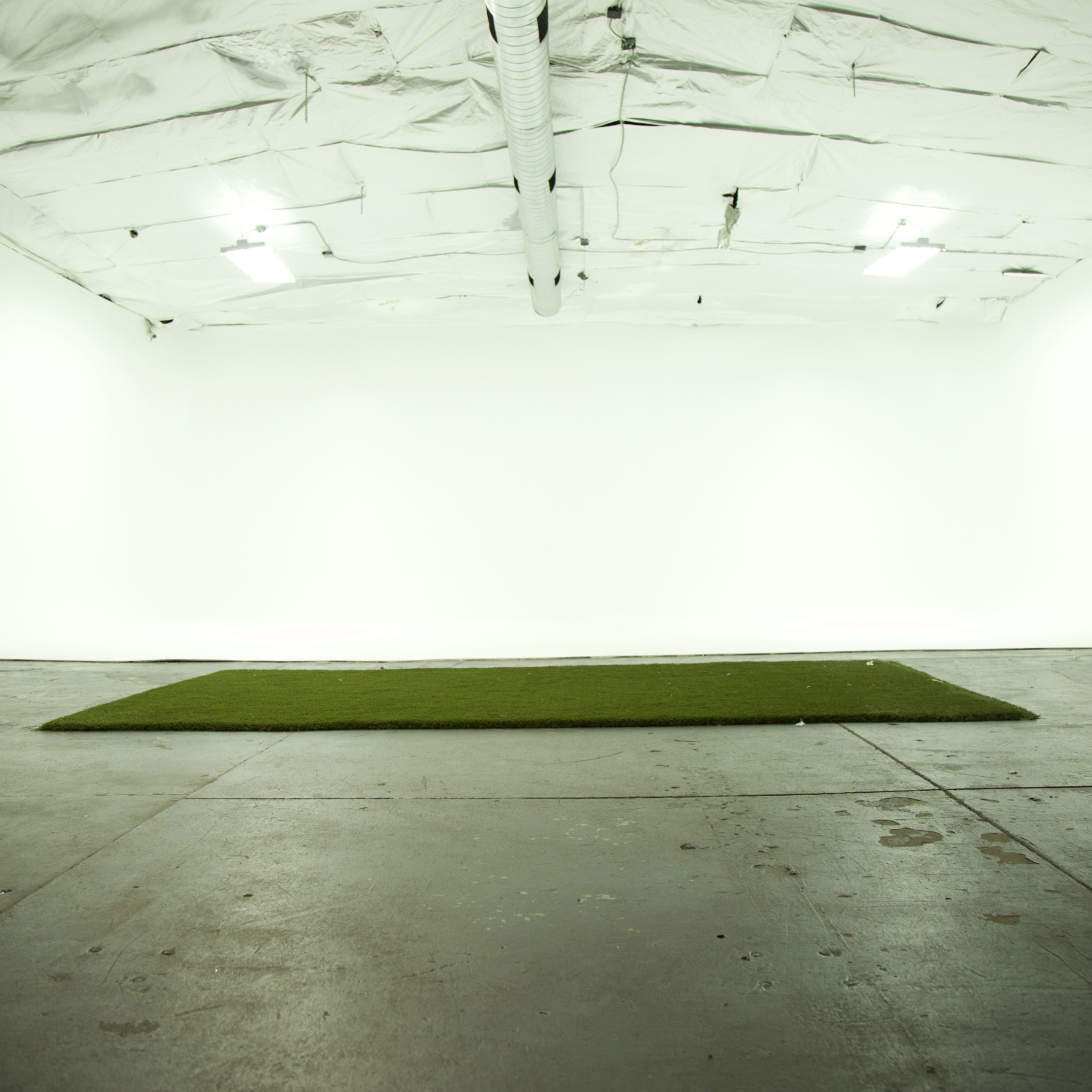 An empty studio space with white walls, a flat green area on the floor, and overhead lighting.