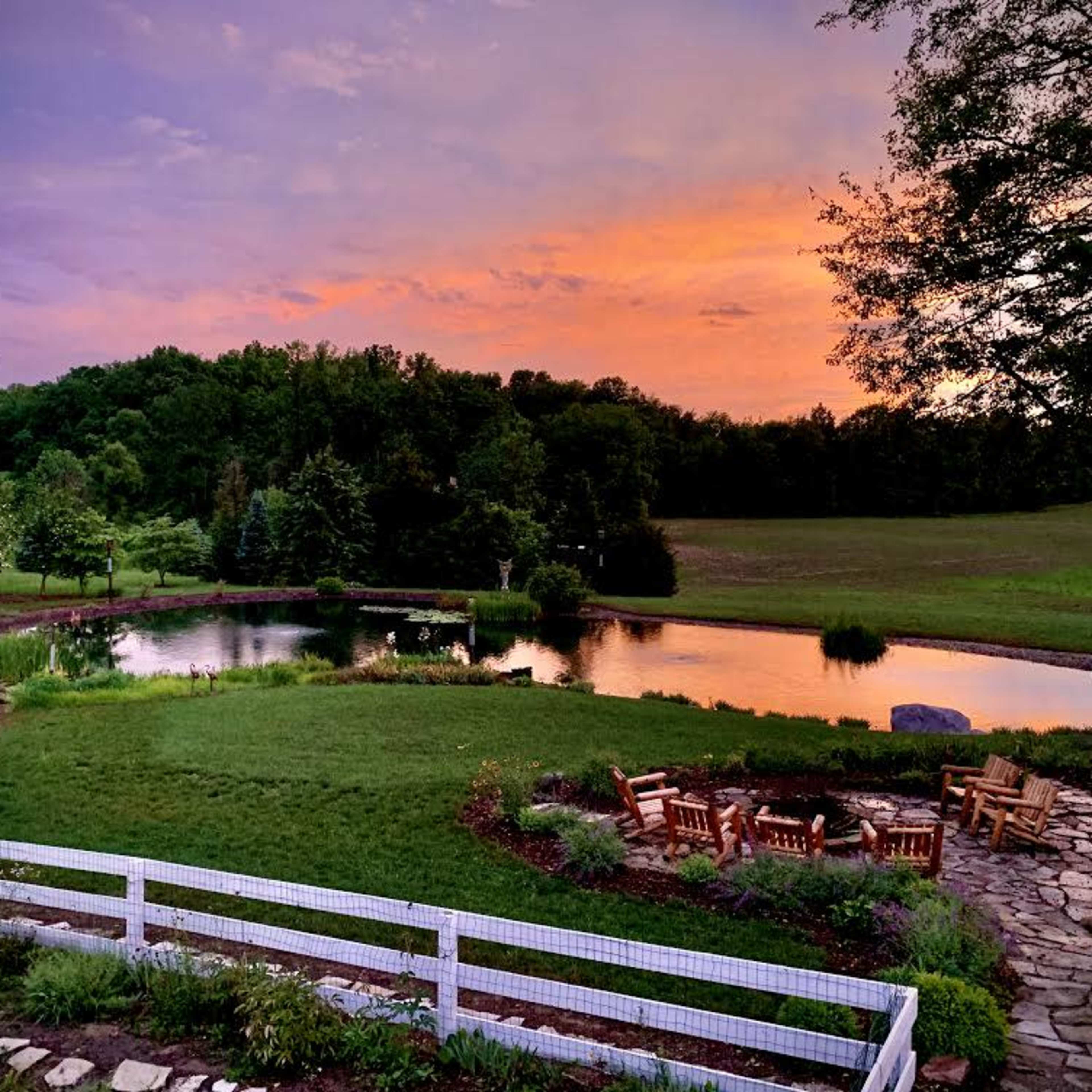 A serene landscape features a pond surrounded by lush greenery and a gravel pathway leading to seating arrangements.