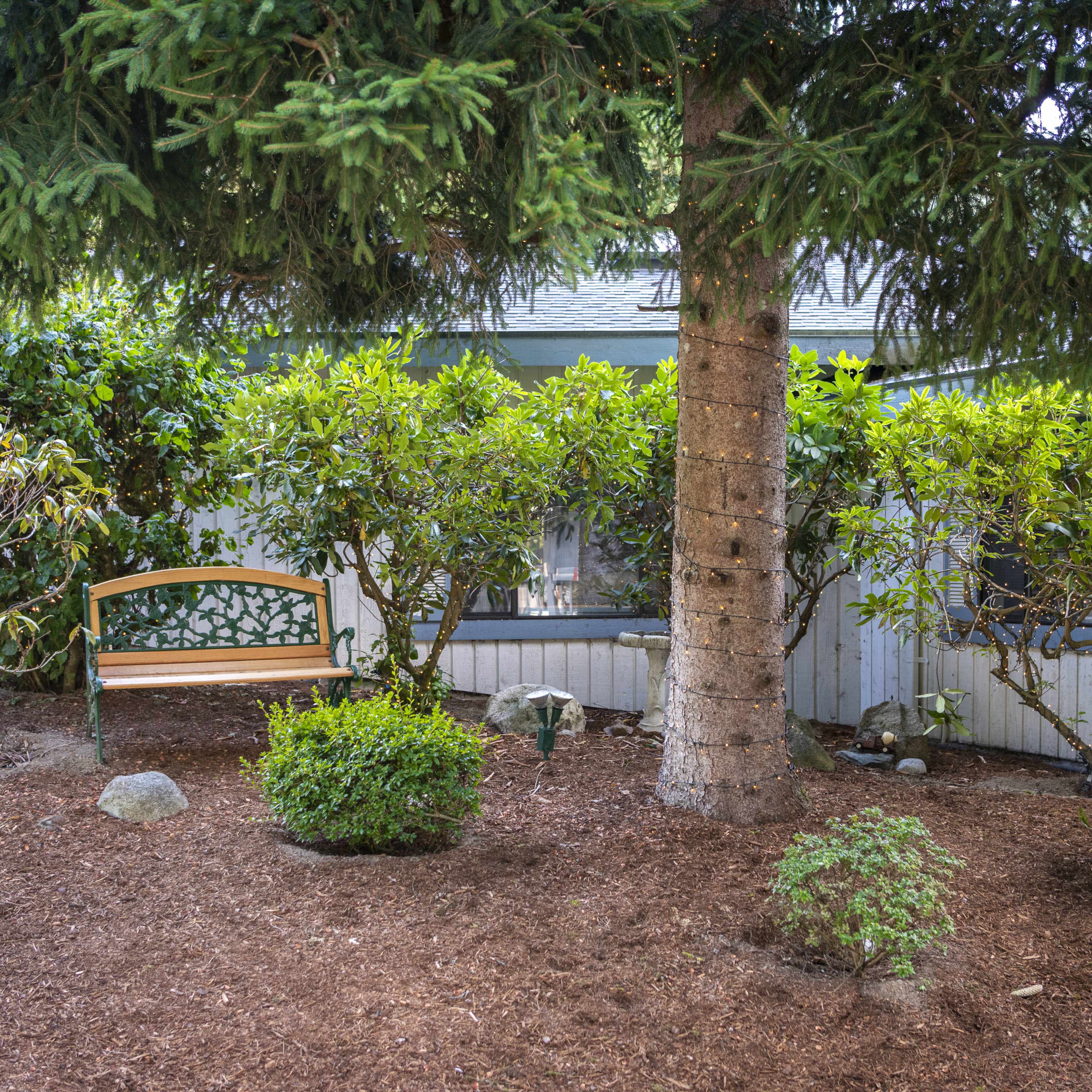 A landscaped garden featuring a wooden bench under a large tree surrounded by shrubbery and mulch.