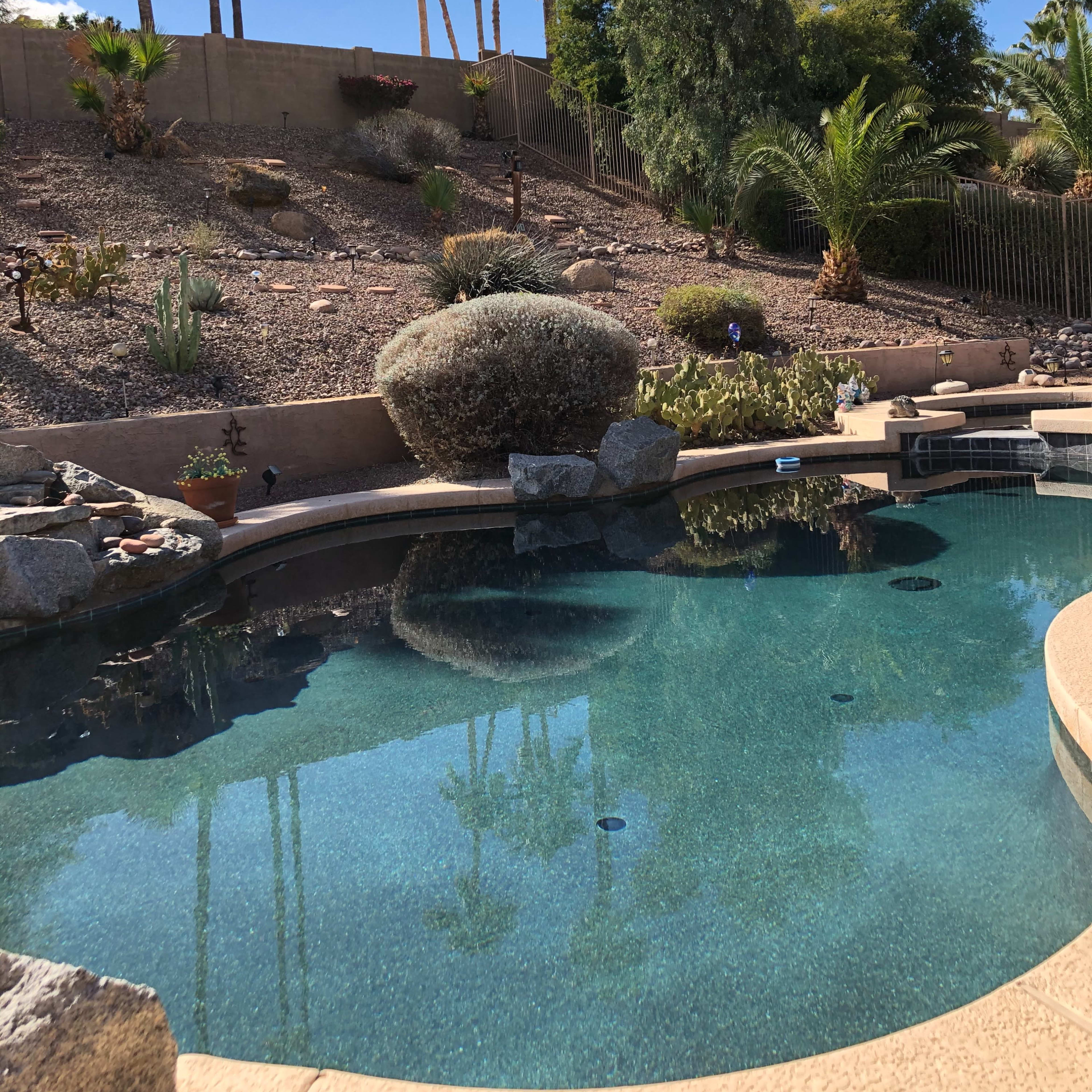 A clear pool surrounded by various plants and palm trees on a hillside.