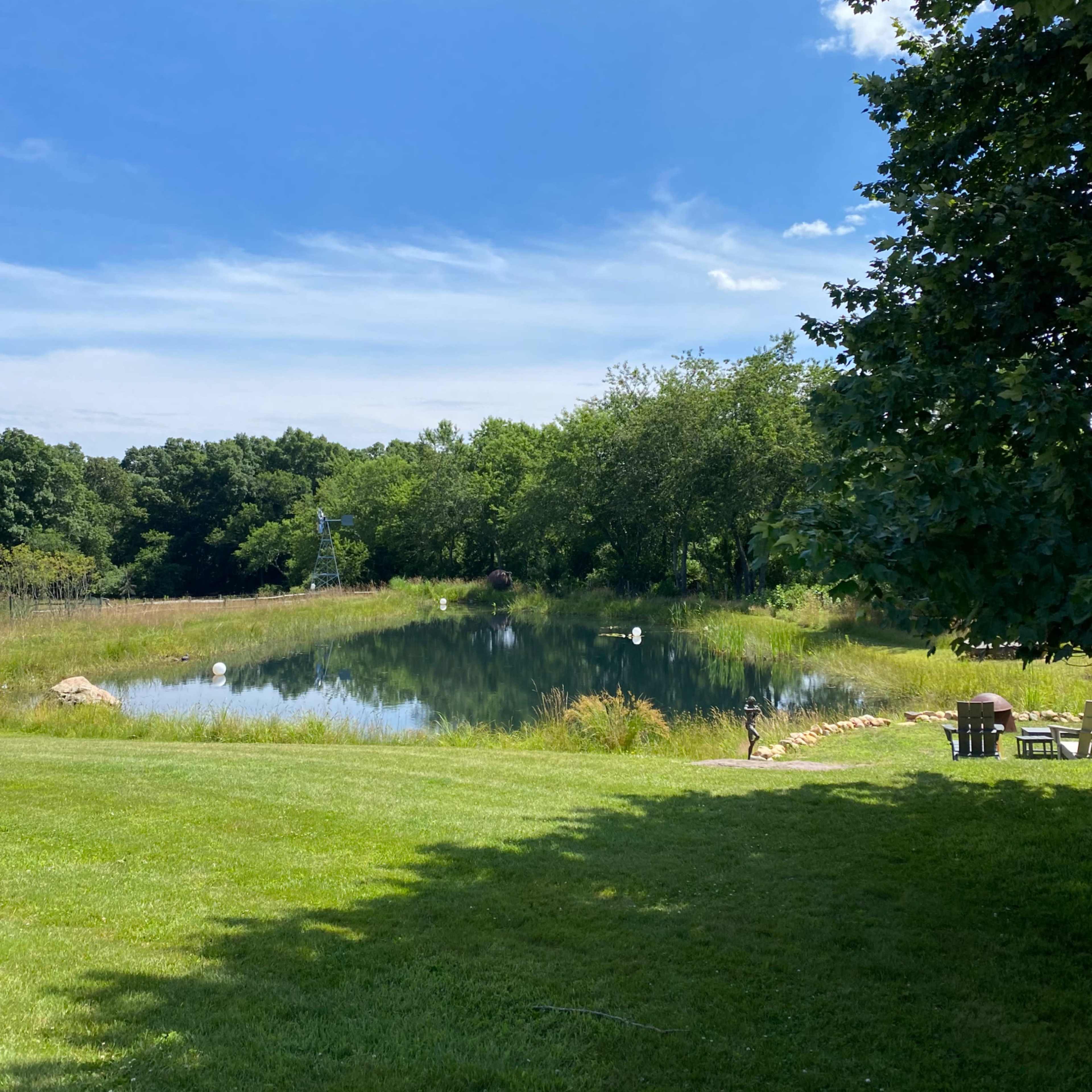 A peaceful pond surrounded by greenery and trees under a clear blue sky.