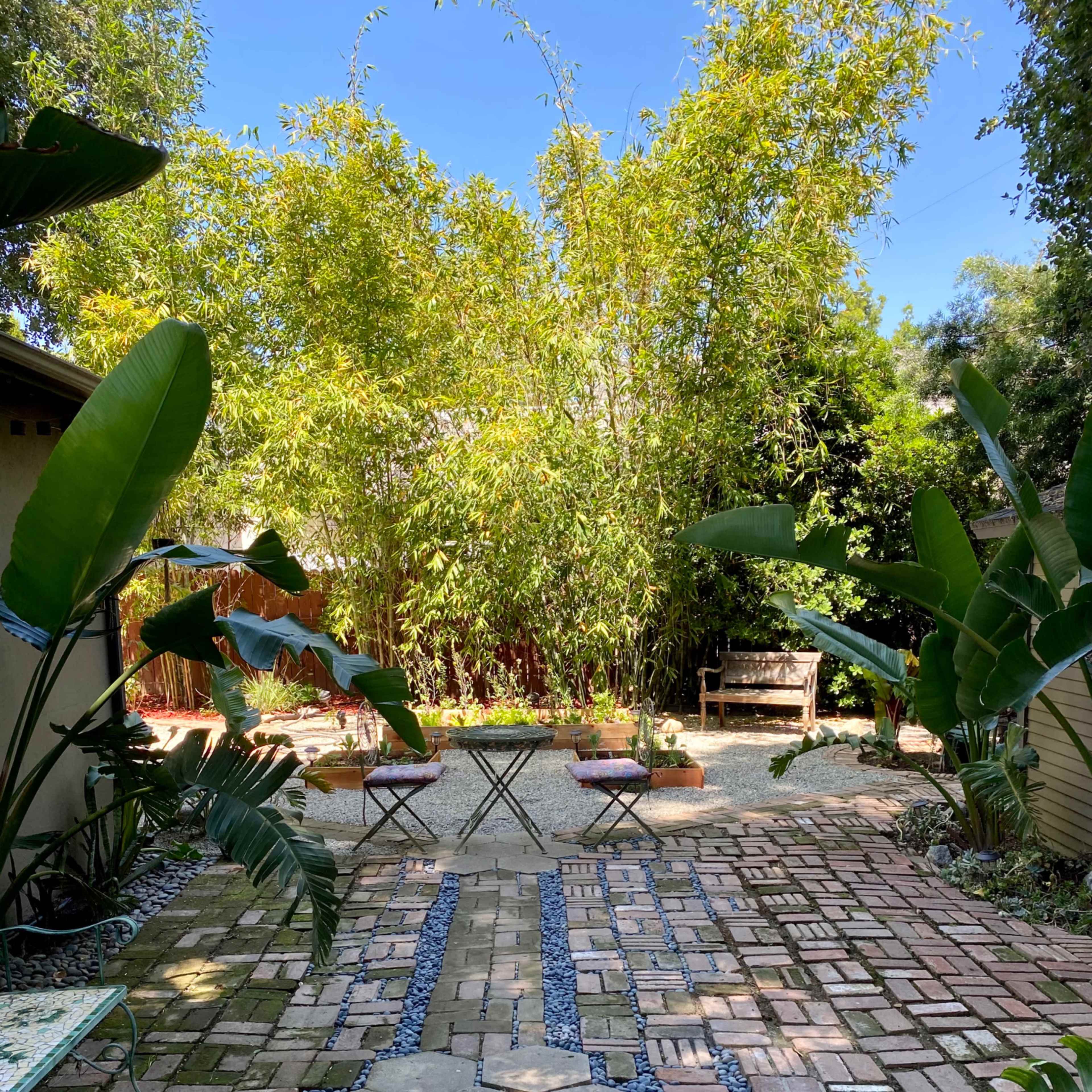 A landscaped garden with a brick pathway, bamboo plants, and seating areas surrounded by greenery.