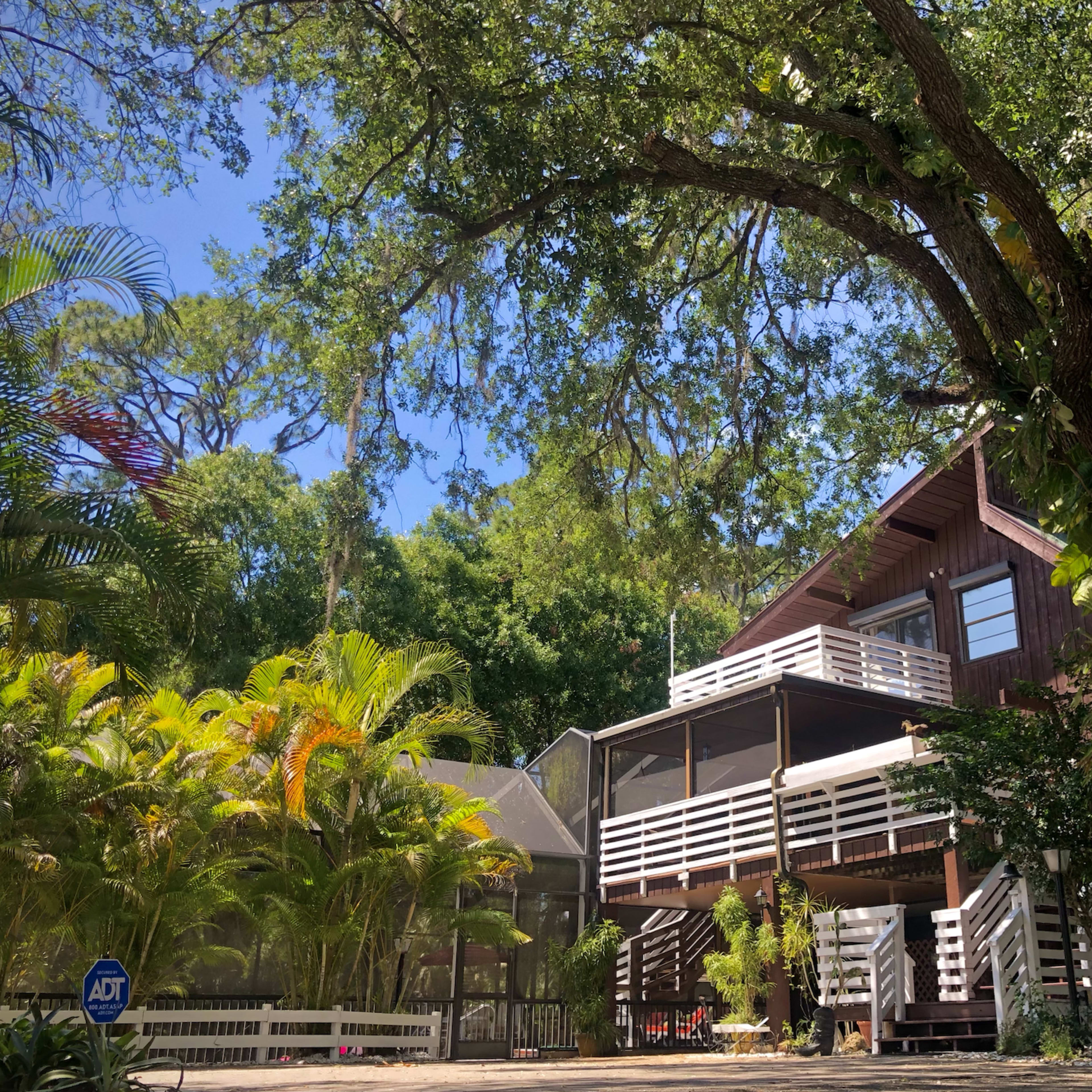 A wooden house with a large deck is surrounded by tropical plants and trees under a clear blue sky.