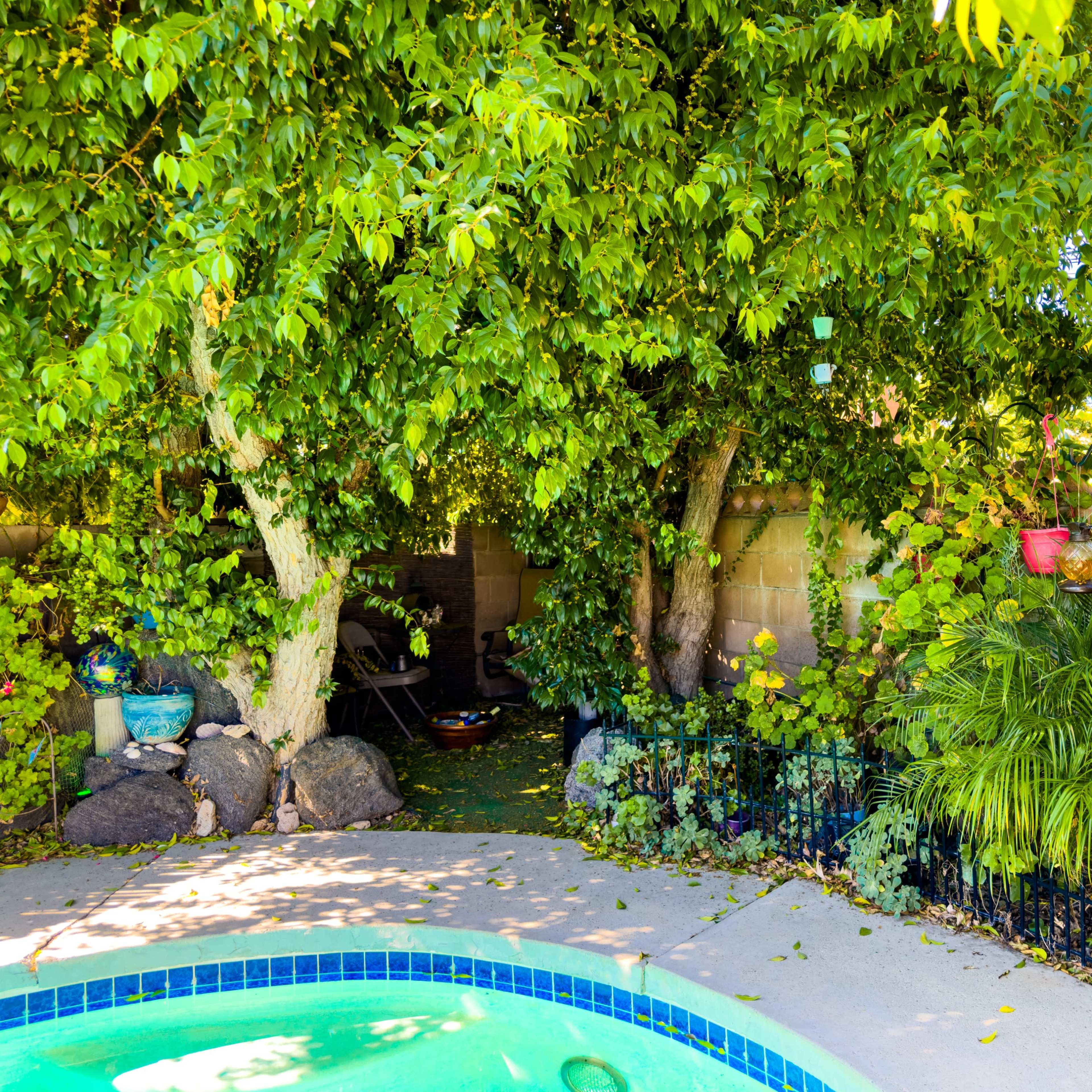A green, lush backyard features a swimming pool surrounded by trees and decorative plants.