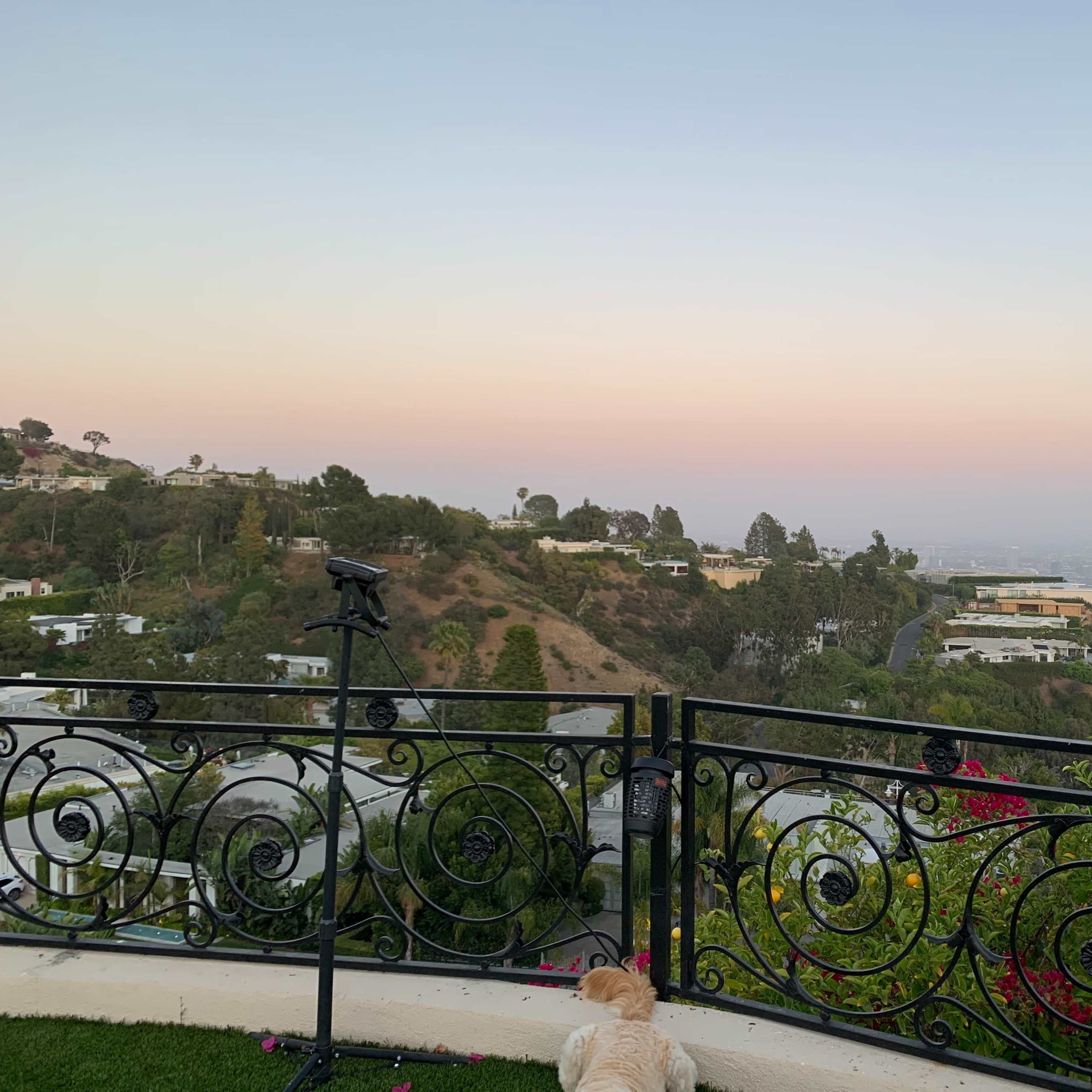 Beverly Hills Mansion Image in Trousdale Estates, Beverly Hills, CA