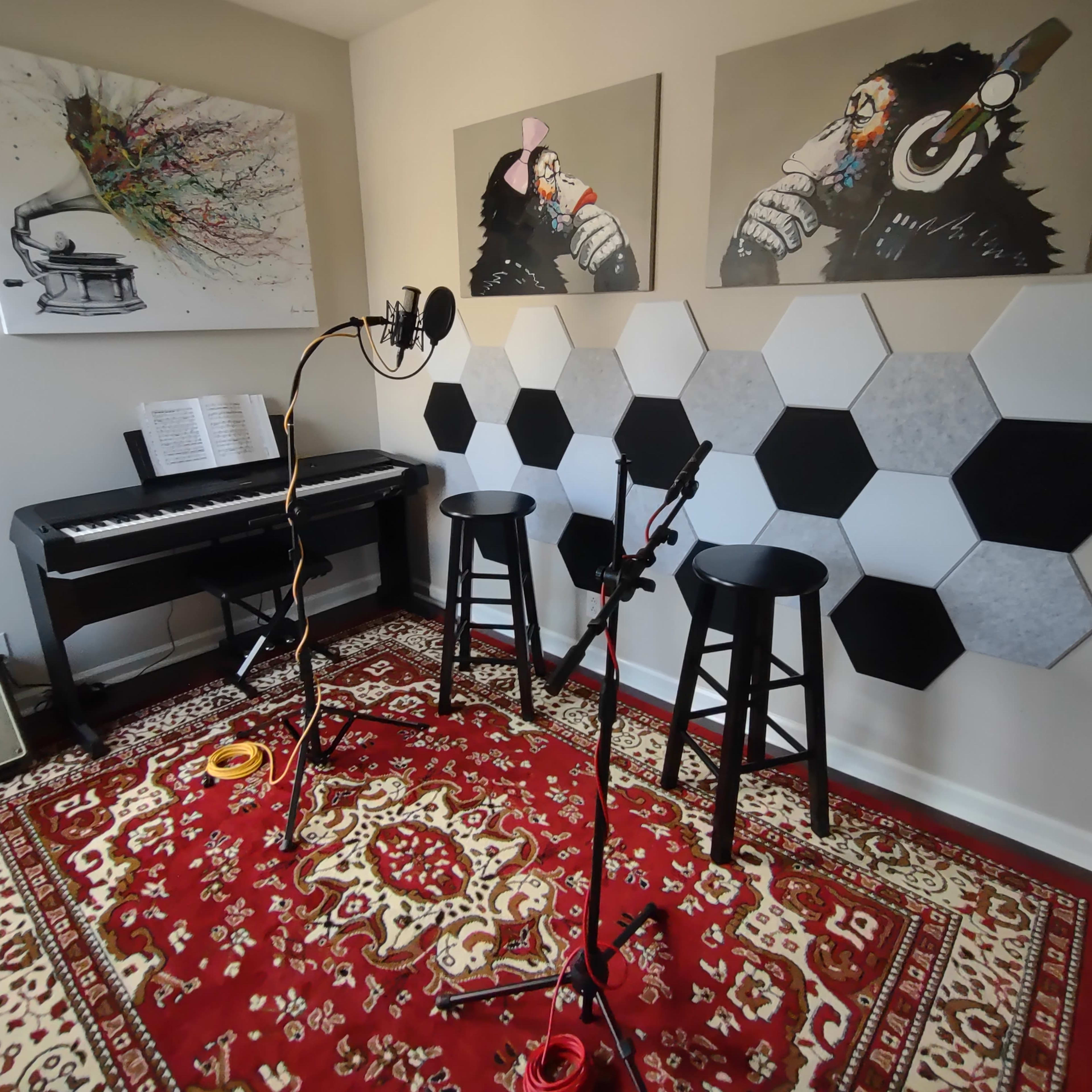 The room features a piano, two stools, a microphone setup, and hexagonal acoustic panels on the wall, with colorful artwork of animals nearby.
