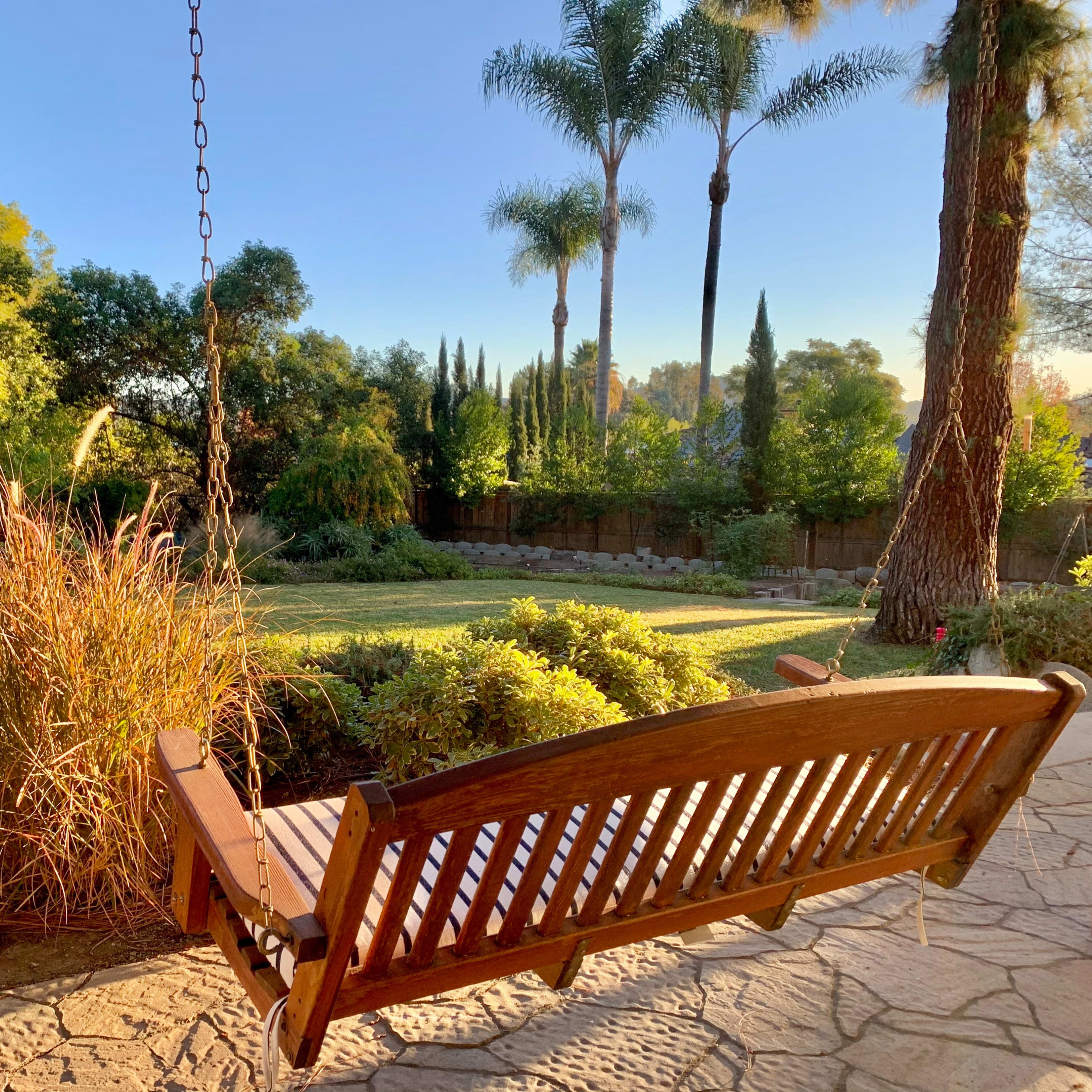 A wooden swing bench hangs from a tree, facing a landscaped garden with tall grasses and palm trees under a clear blue sky.