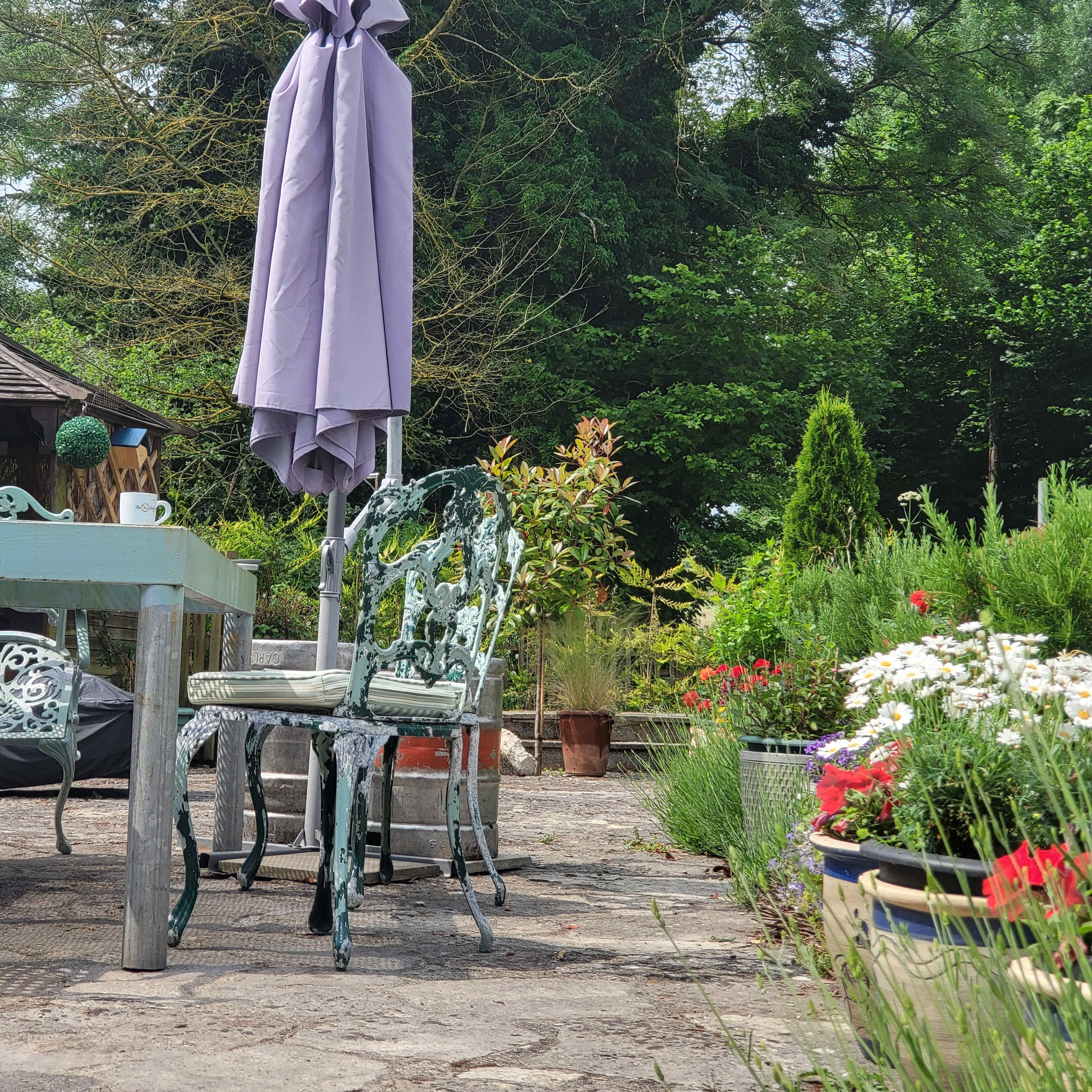 A purple umbrella stands beside a patterned chair on a stone patio surrounded by various plants and flower pots.