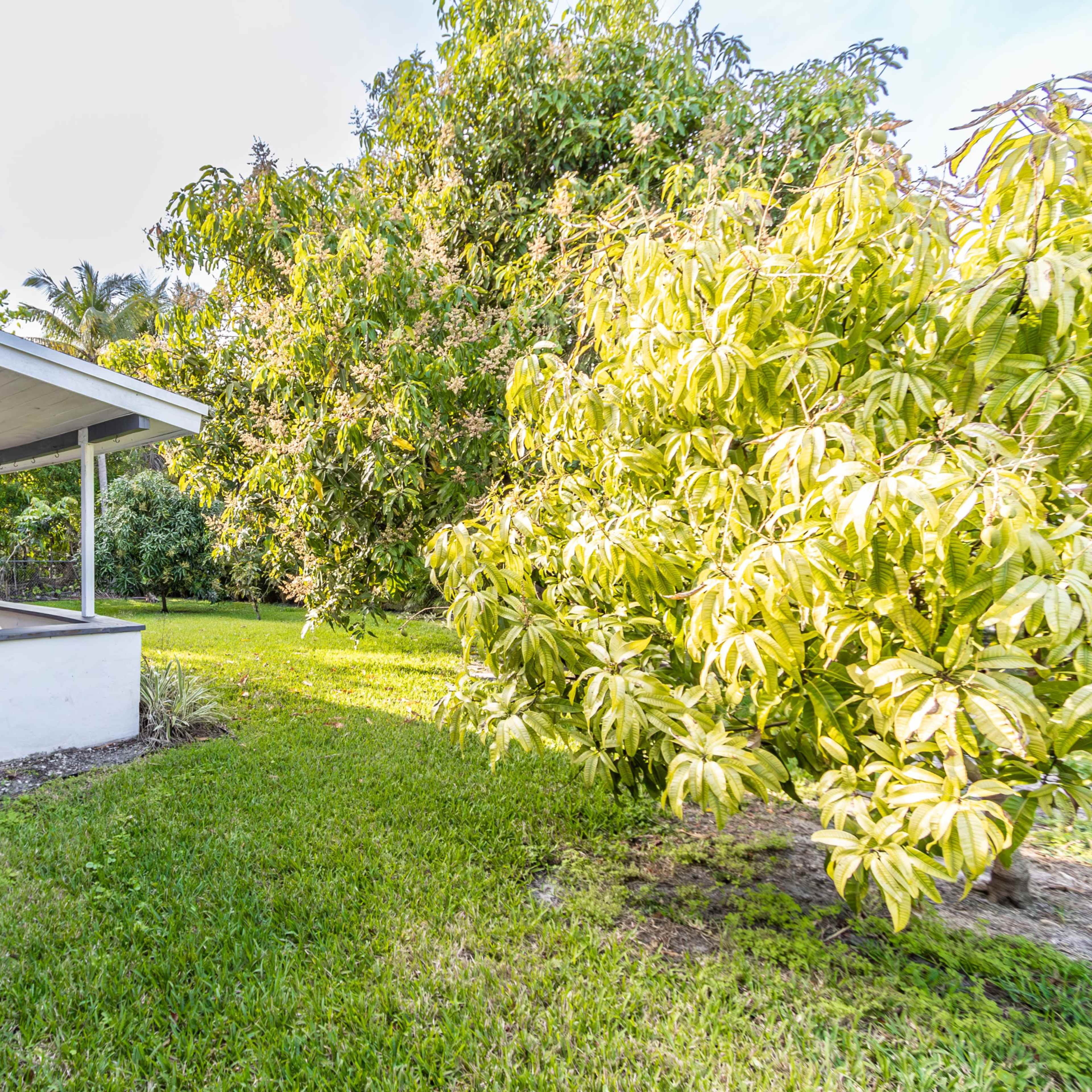 A patio area with a wooden table and chairs is adjacent to a grassy yard featuring lush trees.