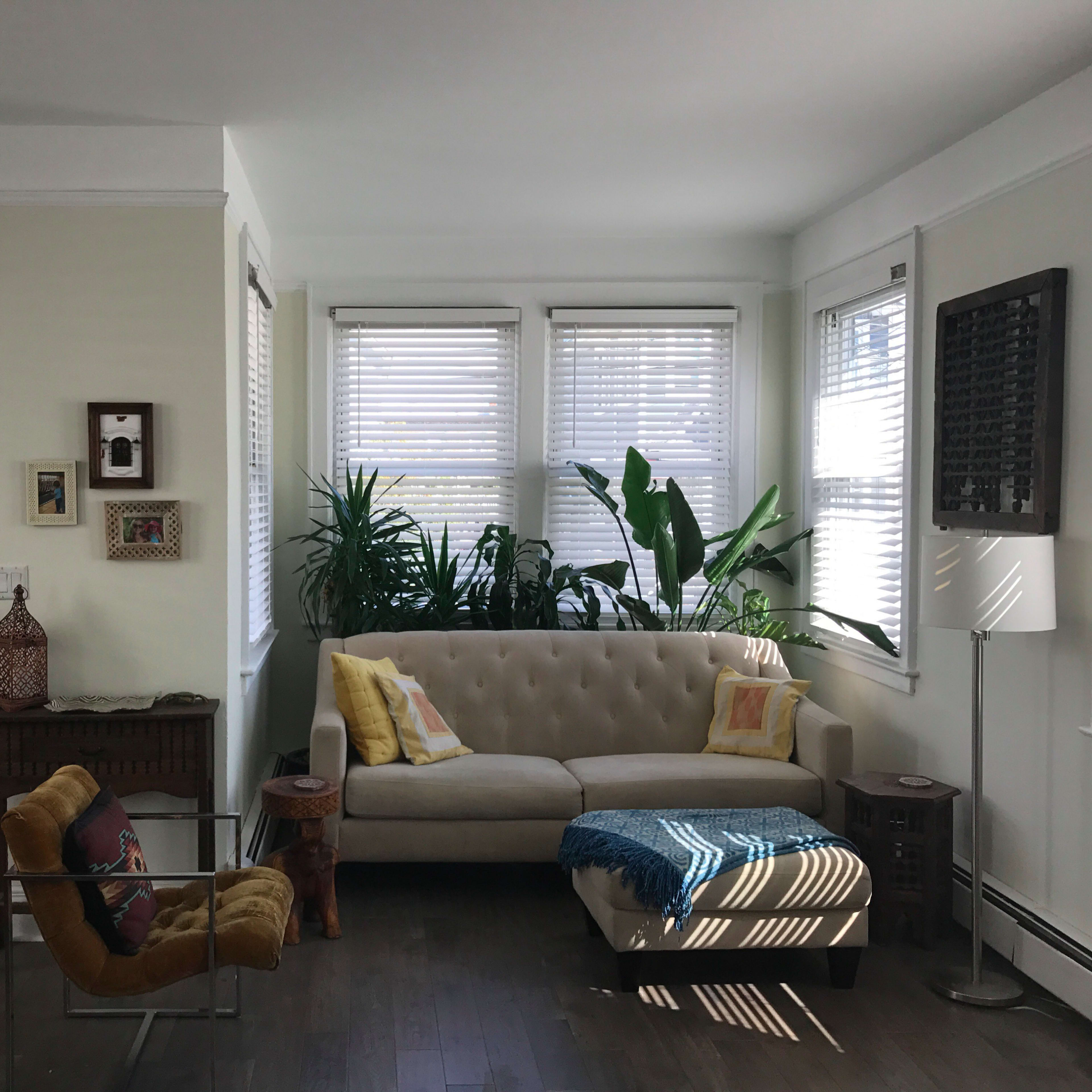 A well-lit living room with a sofa, armchair, and several houseplants, featuring a yellow door and large windows with blinds.
