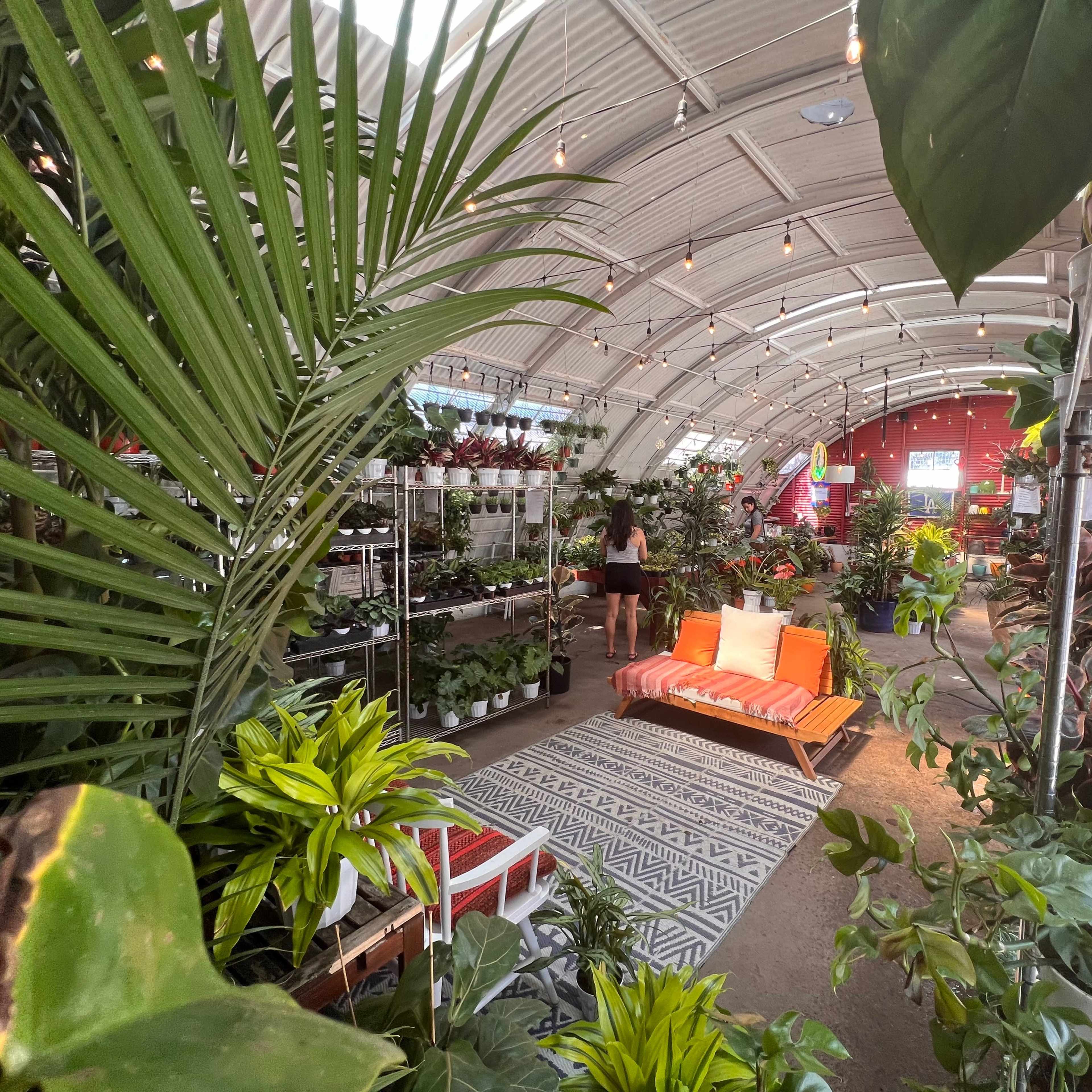 A bright indoor plant shop filled with various potted plants and a seating area with an orange couch and a patterned rug.