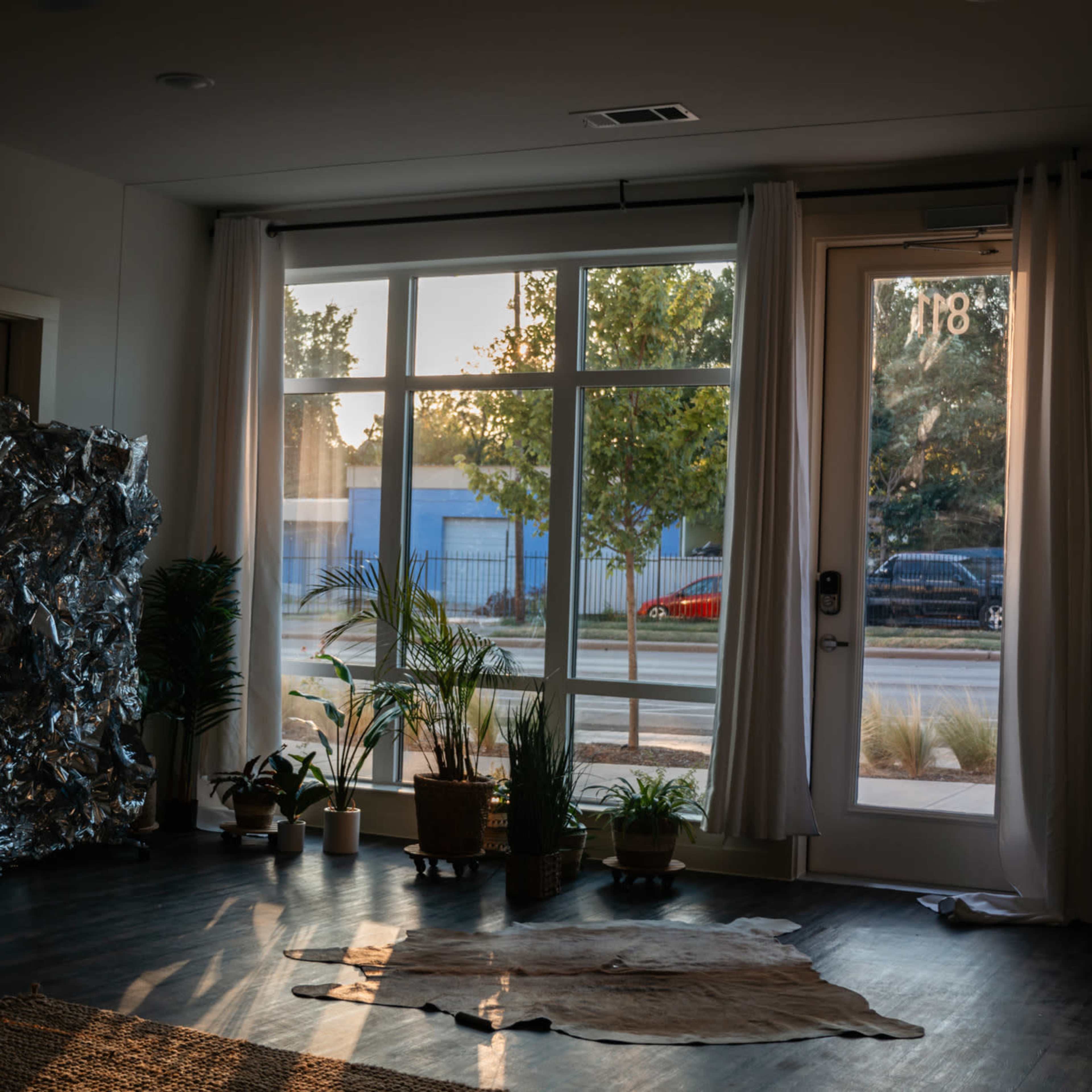 A sunlit room features large windows, potted plants, and a cowhide rug on the floor, with a view of the street outside.