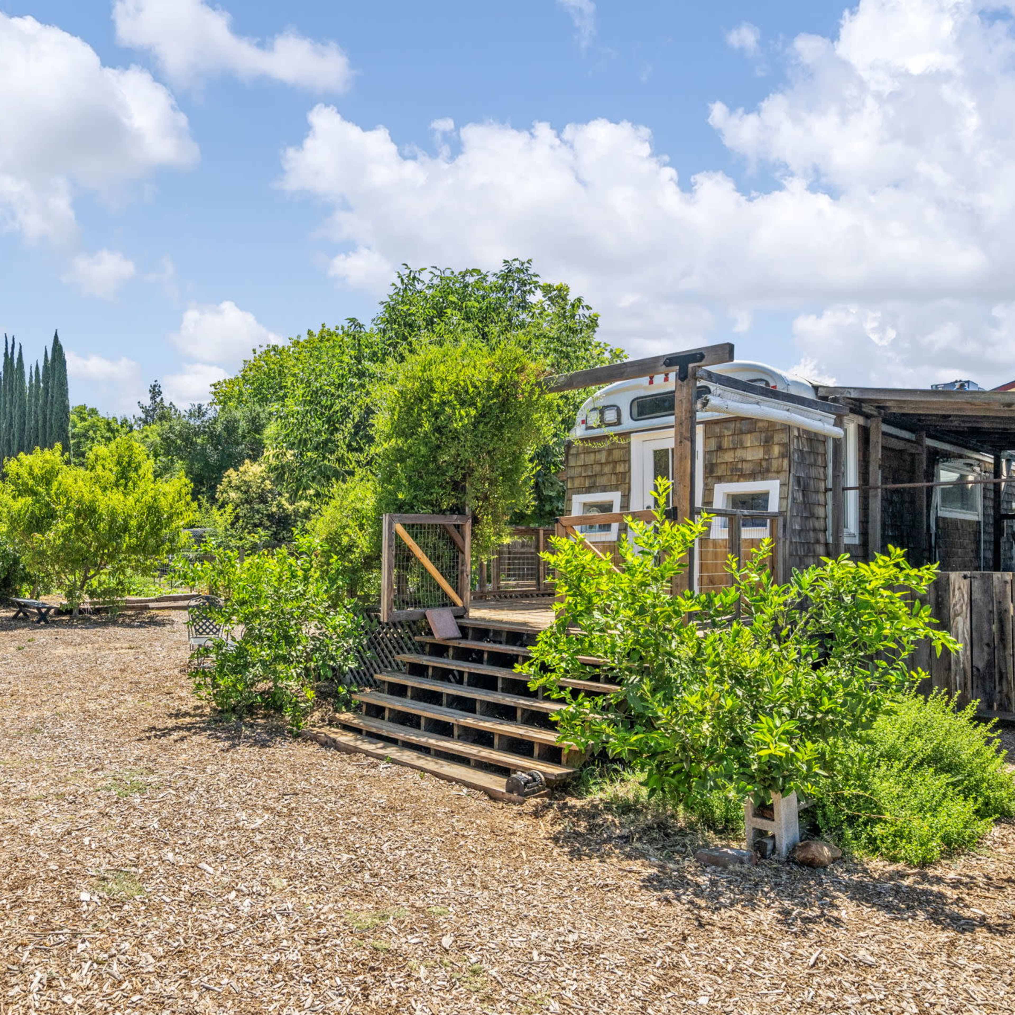 A trailer is parked next to a wooden deck surrounded by various trees and shrubs in a garden-like setting.