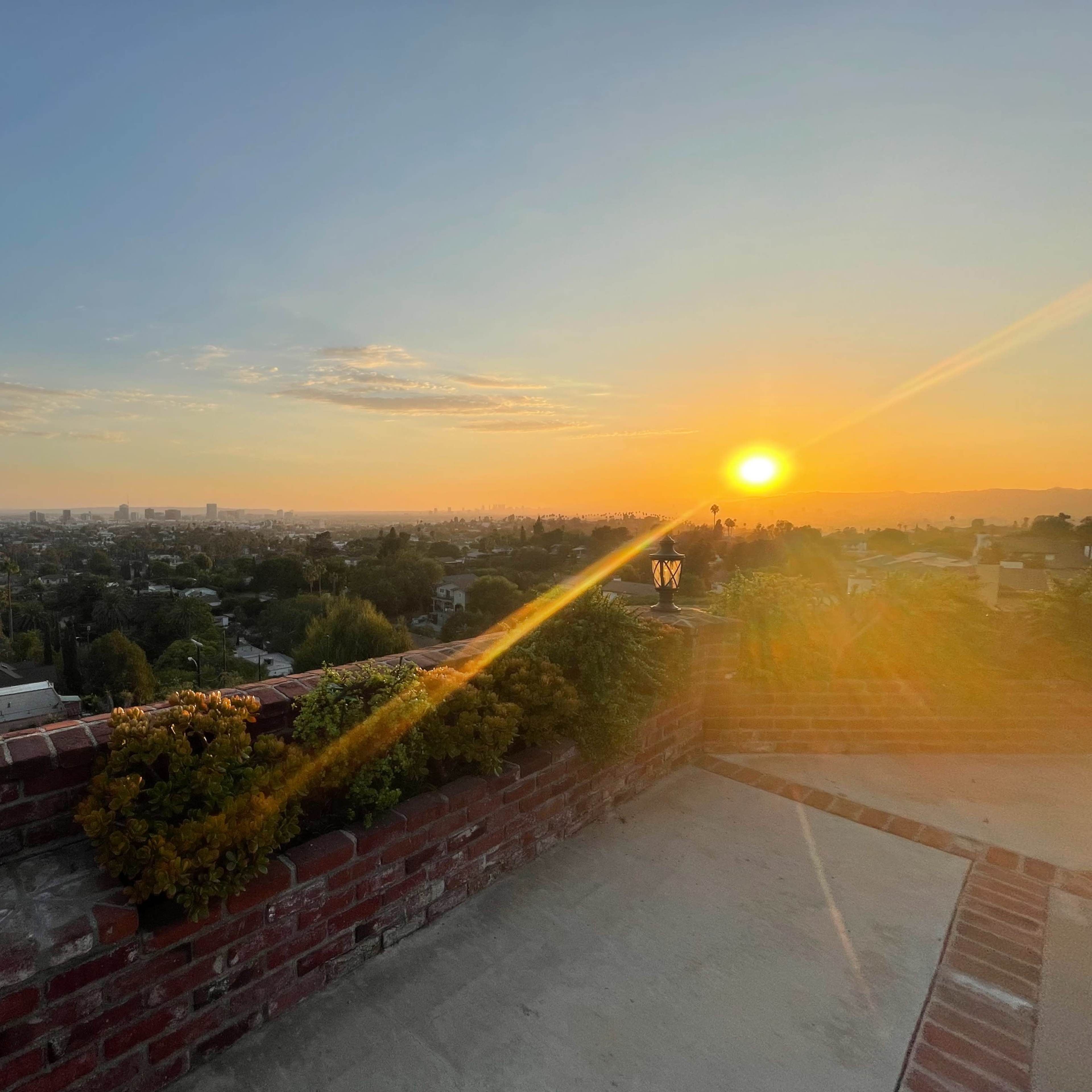 The scene shows a sunset over a city skyline viewed from a rooftop garden with brick walls and plants.