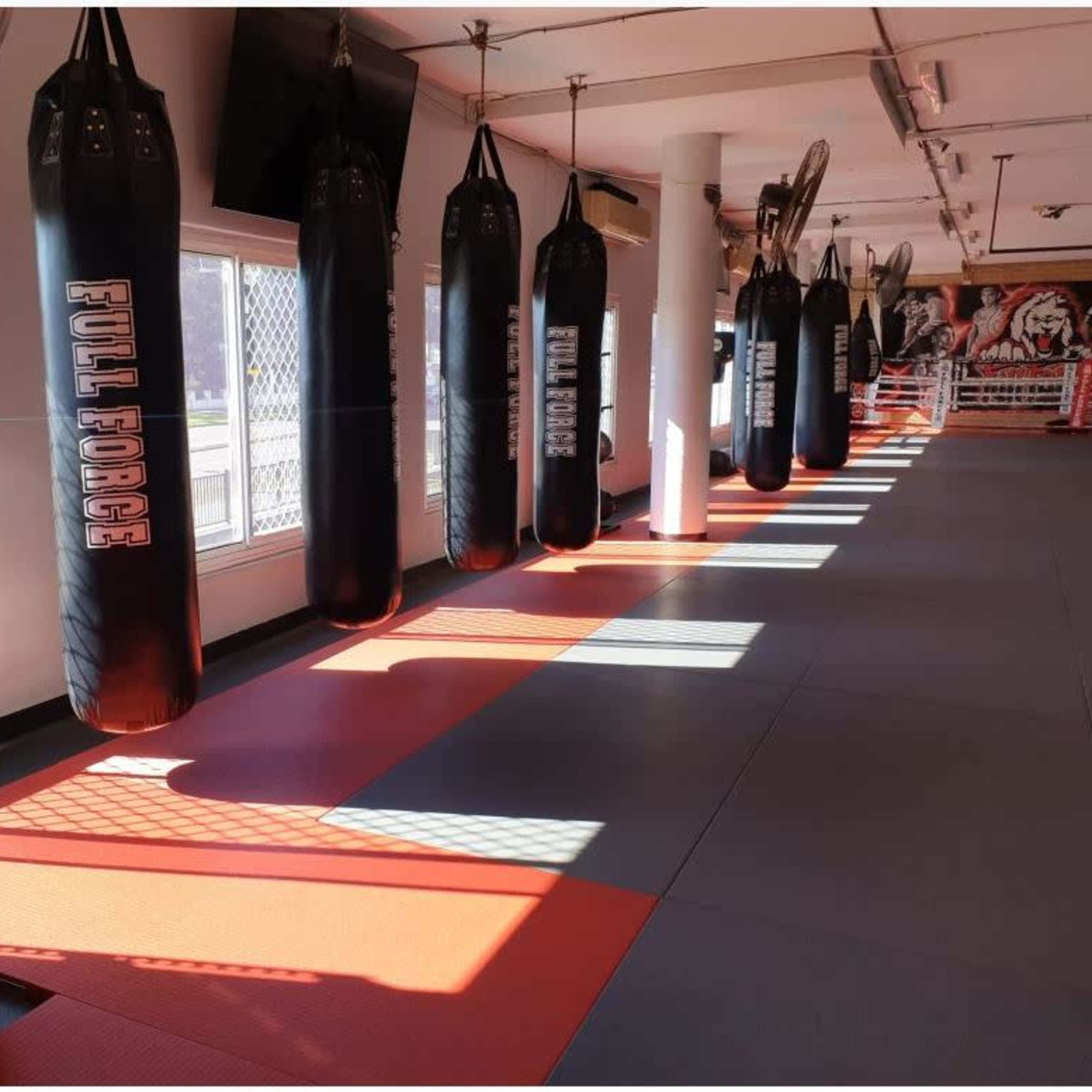 A fitness studio with several hanging punching bags and a padded floor, illuminated by sunlight coming through the windows.