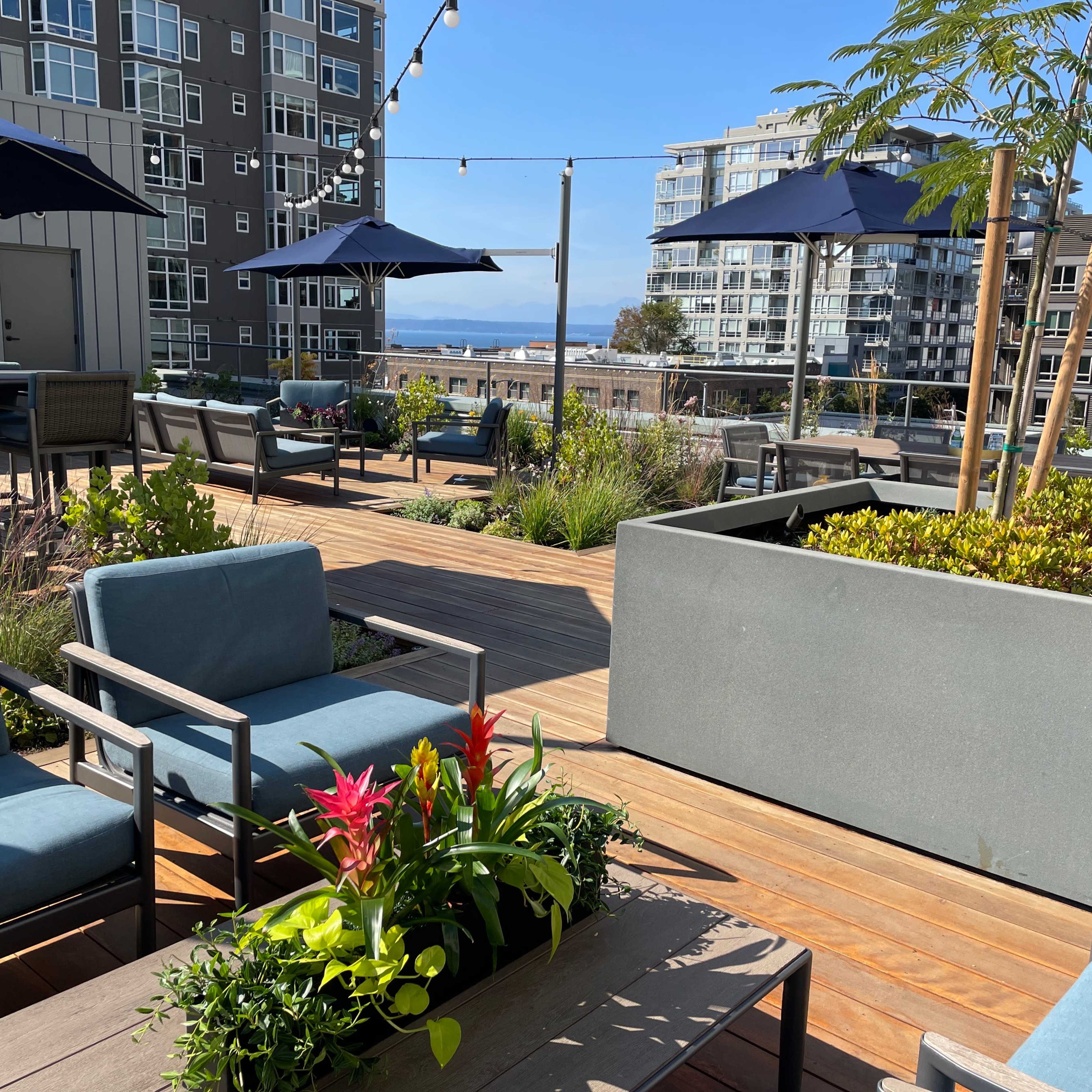 A rooftop terrace with wooden flooring, potted plants, outdoor seating areas, and umbrellas, overlooking modern buildings and a clear sky.