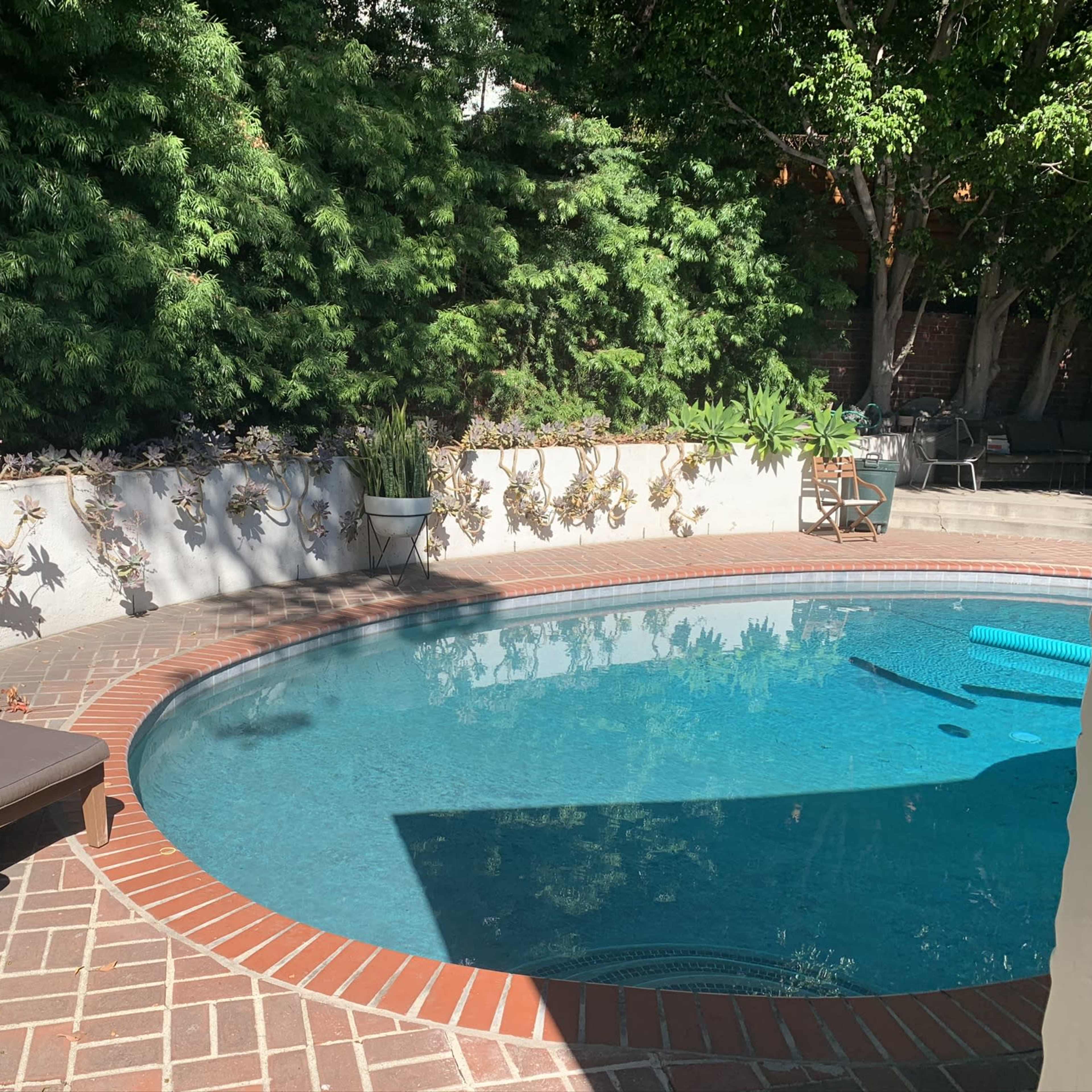 A curved swimming pool surrounded by brick paving and shaded by lush greenery.