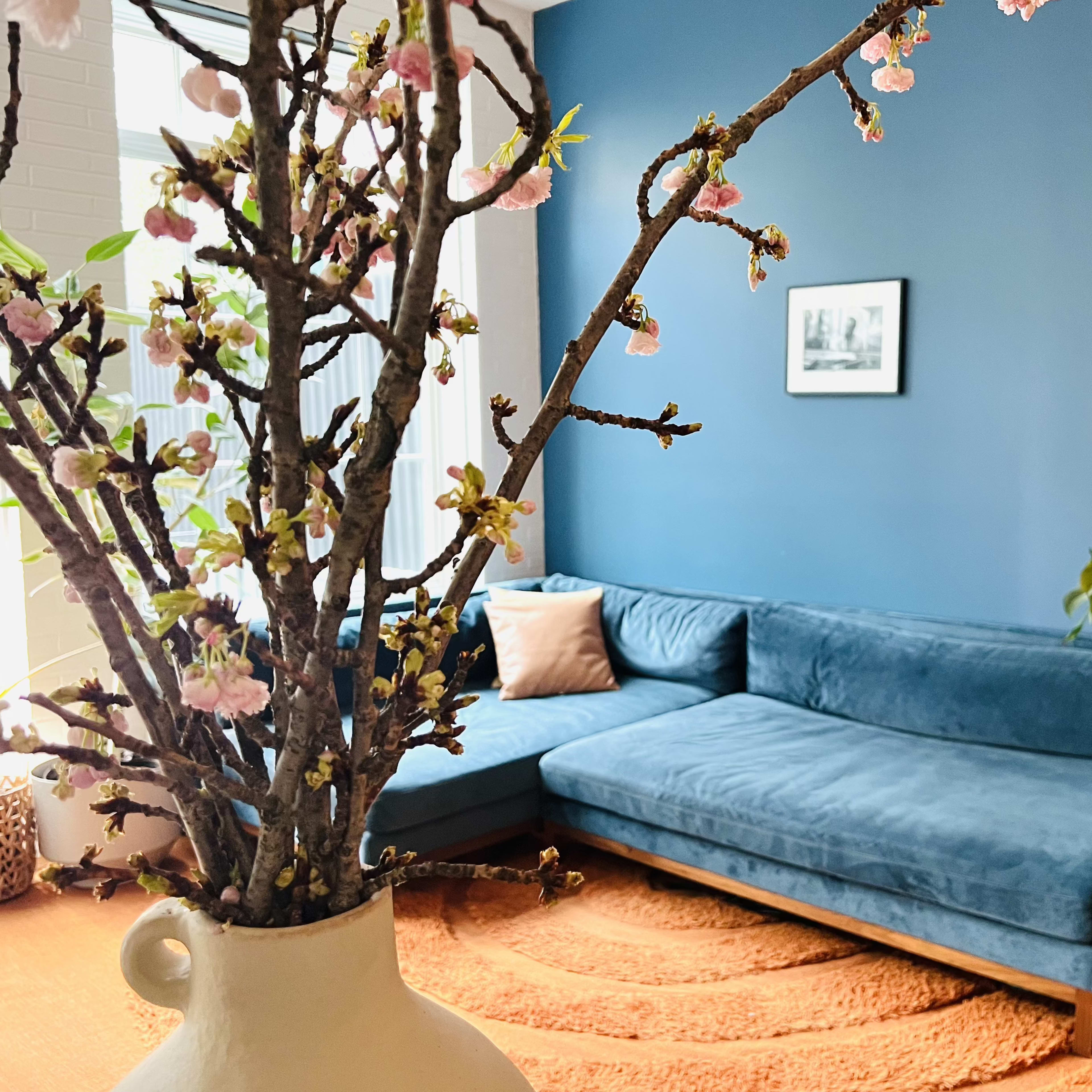 A cozy living room features a blue sectional sofa, a tree branch with pink blossoms in a vase, and a round orange rug.