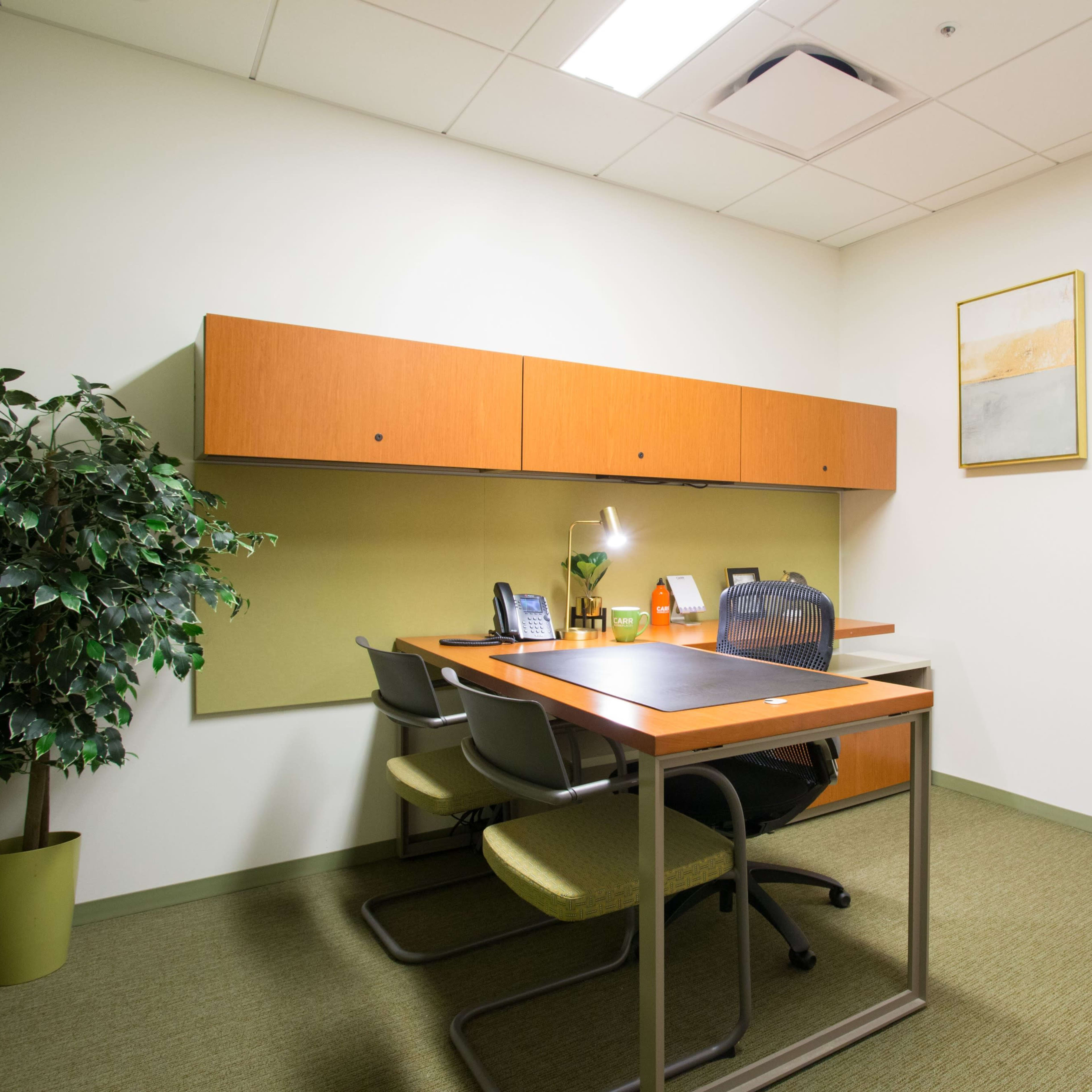 A small office space featuring a desk, chairs, a plant, and wall-mounted artwork.