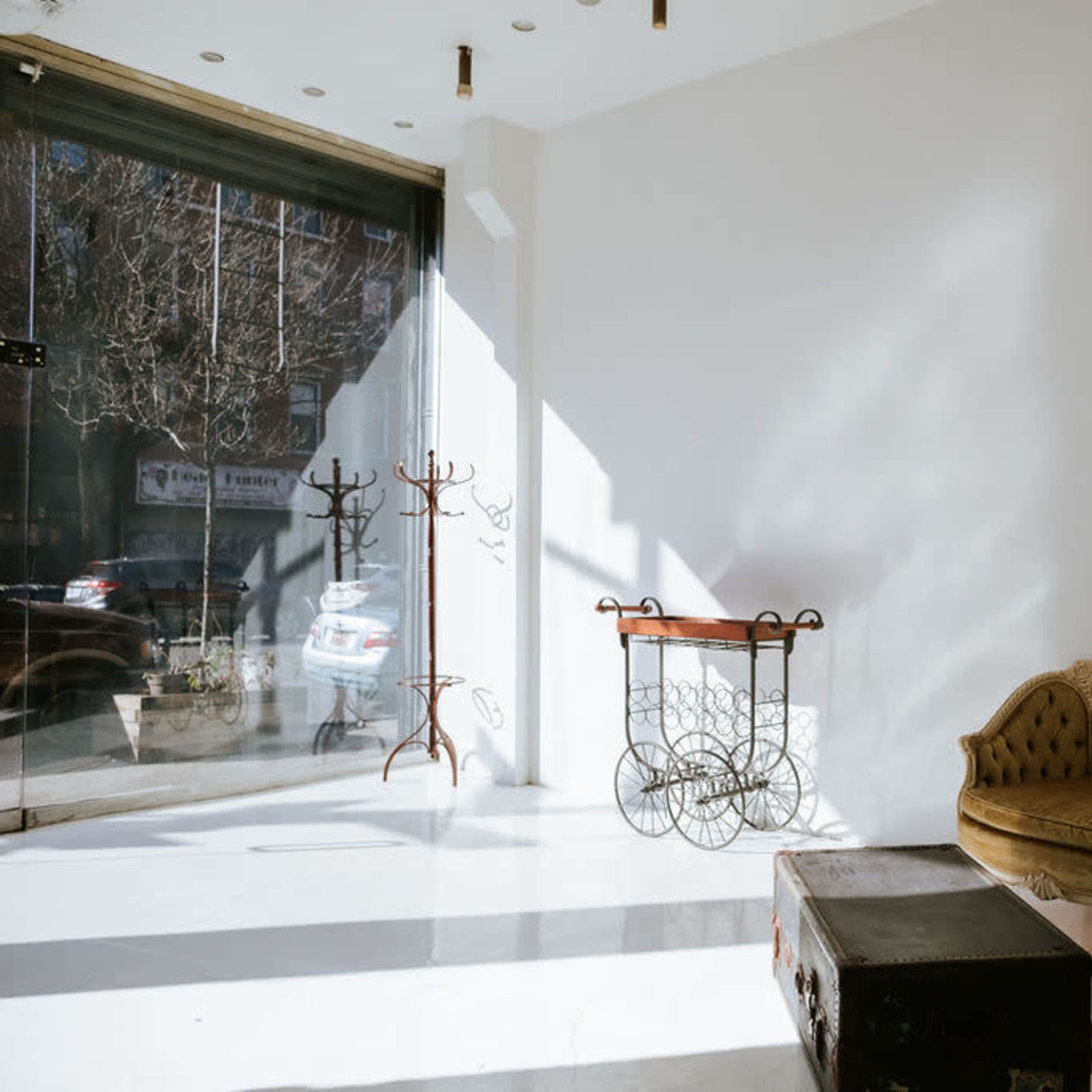 Rosa 1069 Image in Bedford-Stuyvesant, Brooklyn, NY