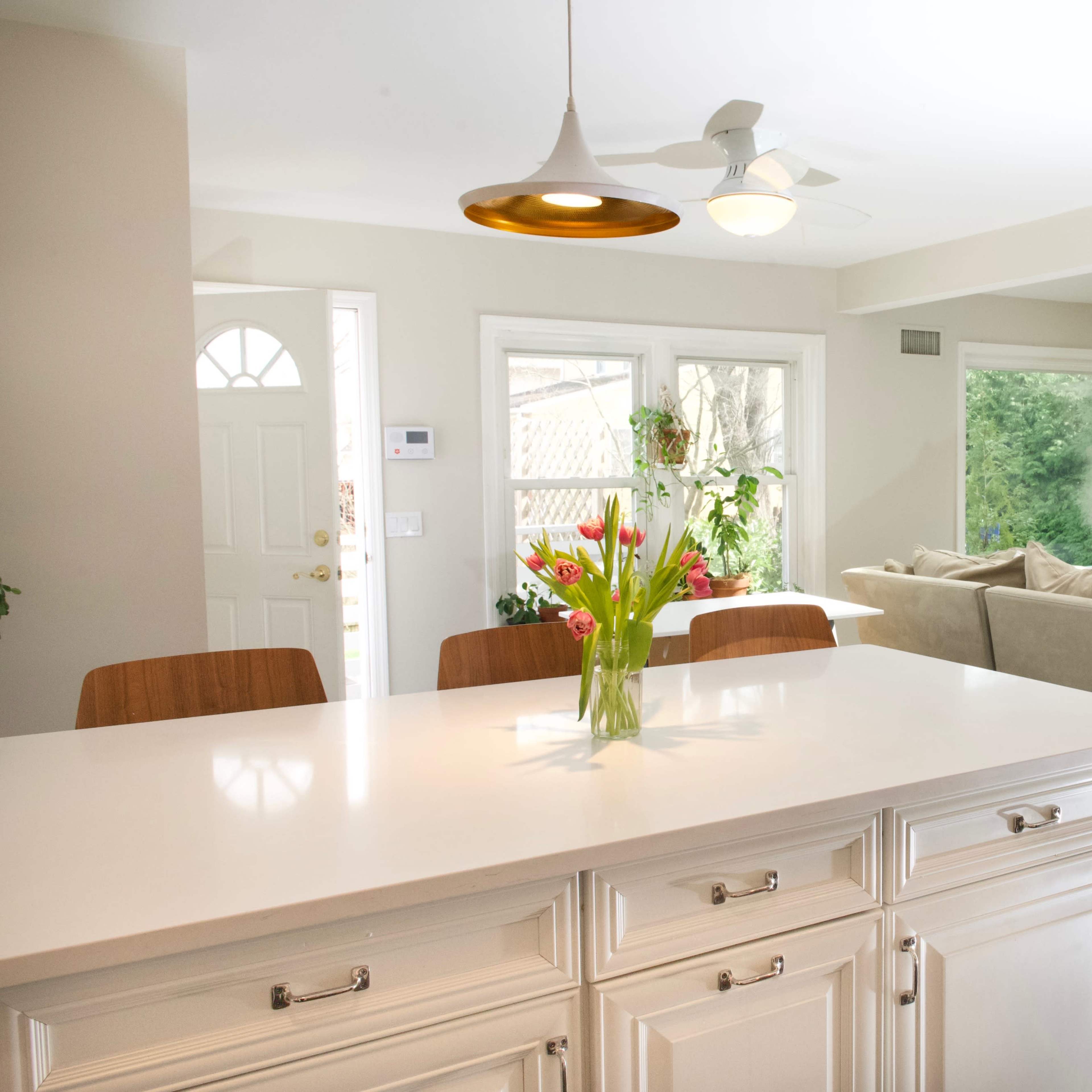 A bright kitchen features a white countertop, a vase of flowers, and an open layout leading to a living area with a couch and plants.