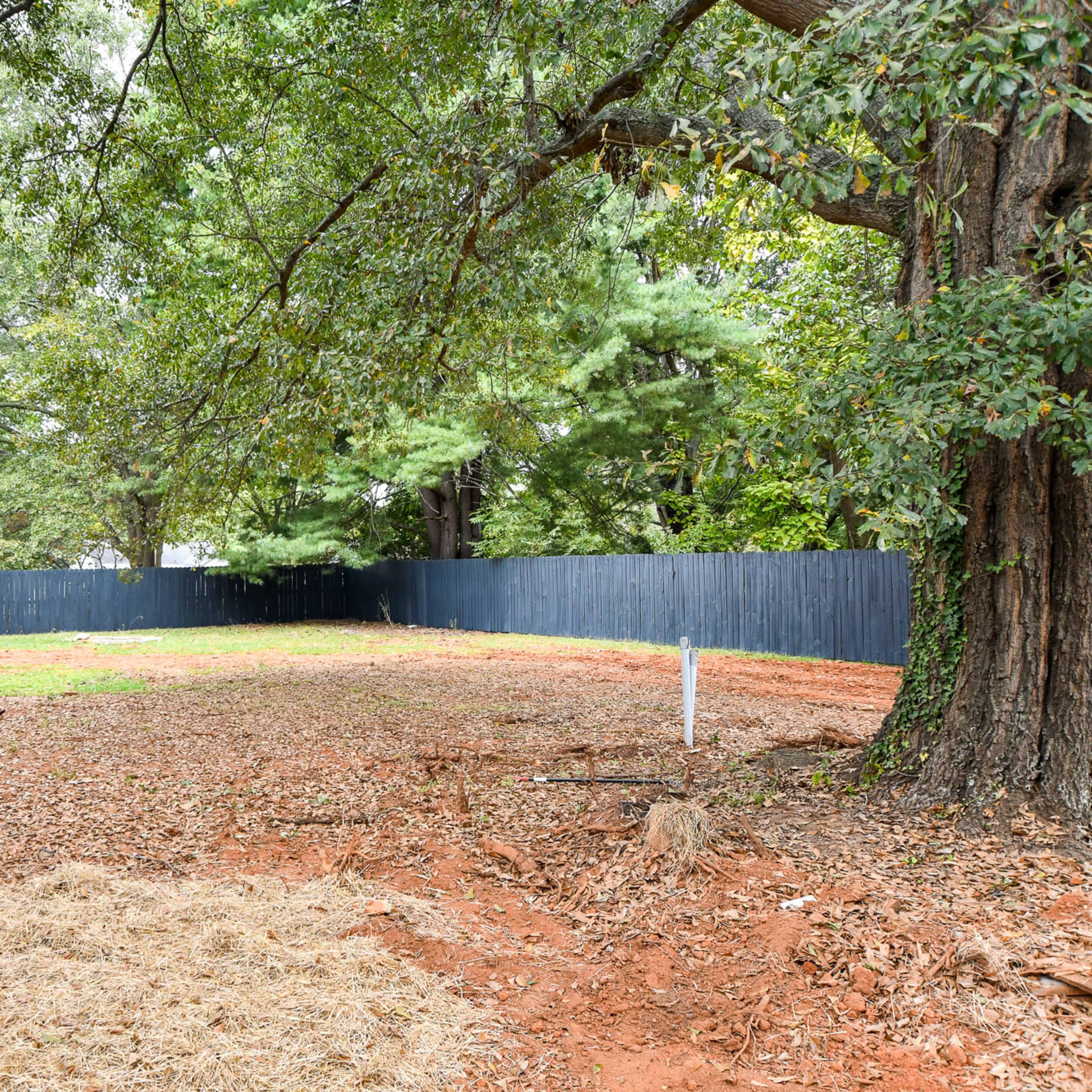 A cleared, fenced yard with dirt ground and scattered patches of grass is surrounded by trees.