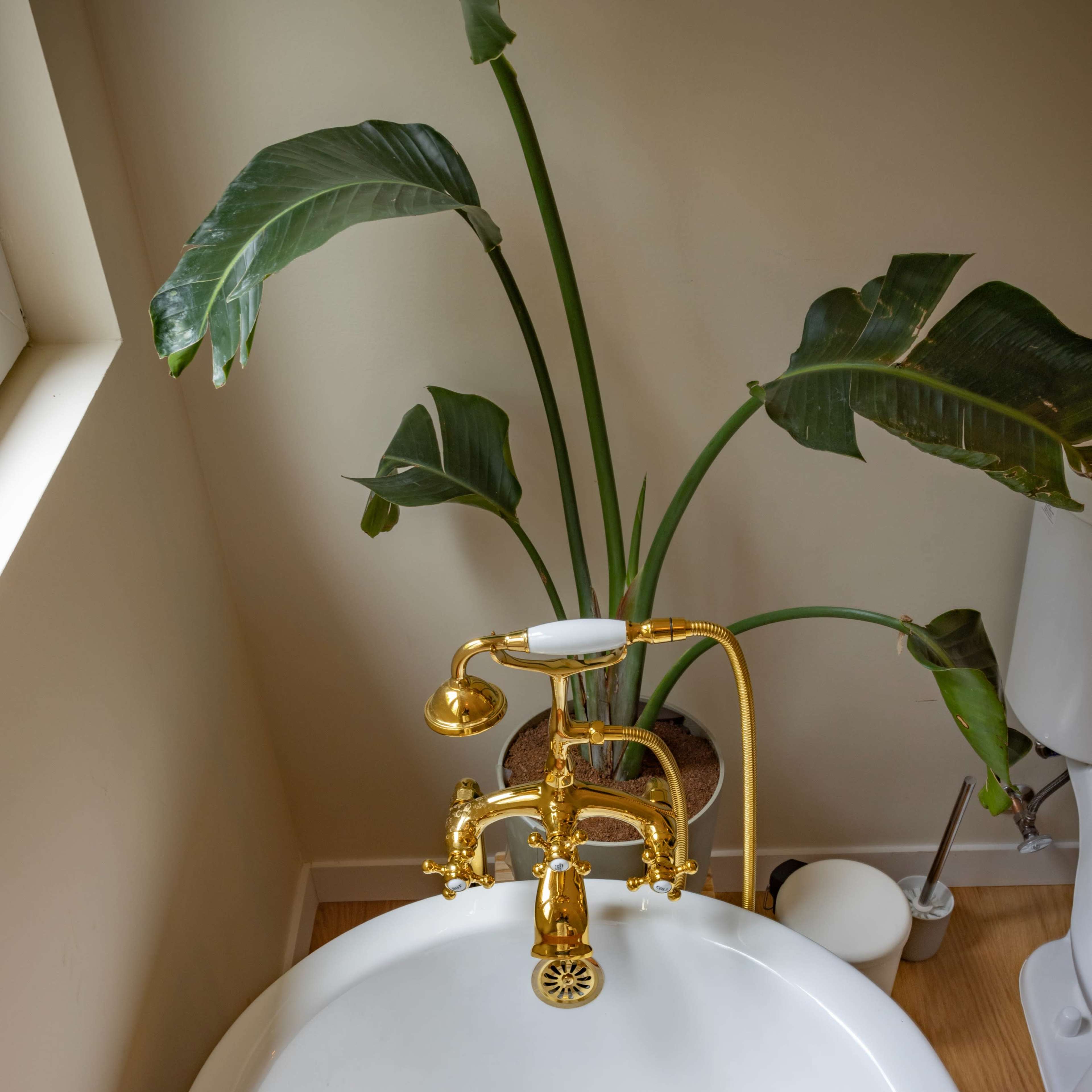 A white bathtub with a wooden tray holds a candle and a bottle, surrounded by a potted green plant.