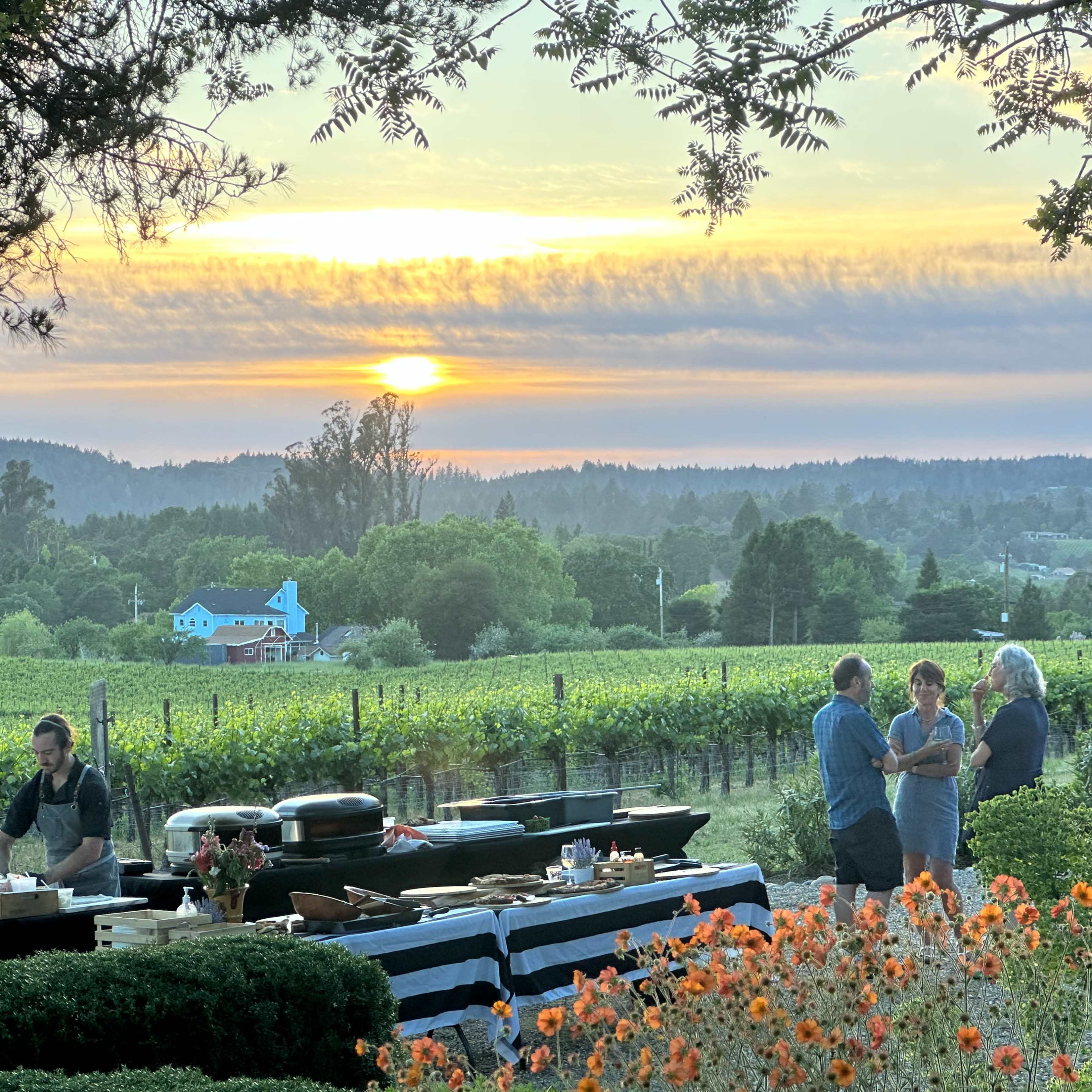 Stunning Boutique Vineyard Estate for Workshops, Retreats, Photoshoots, Off-Sites & Gatherings Image in , Sebastopol, CA