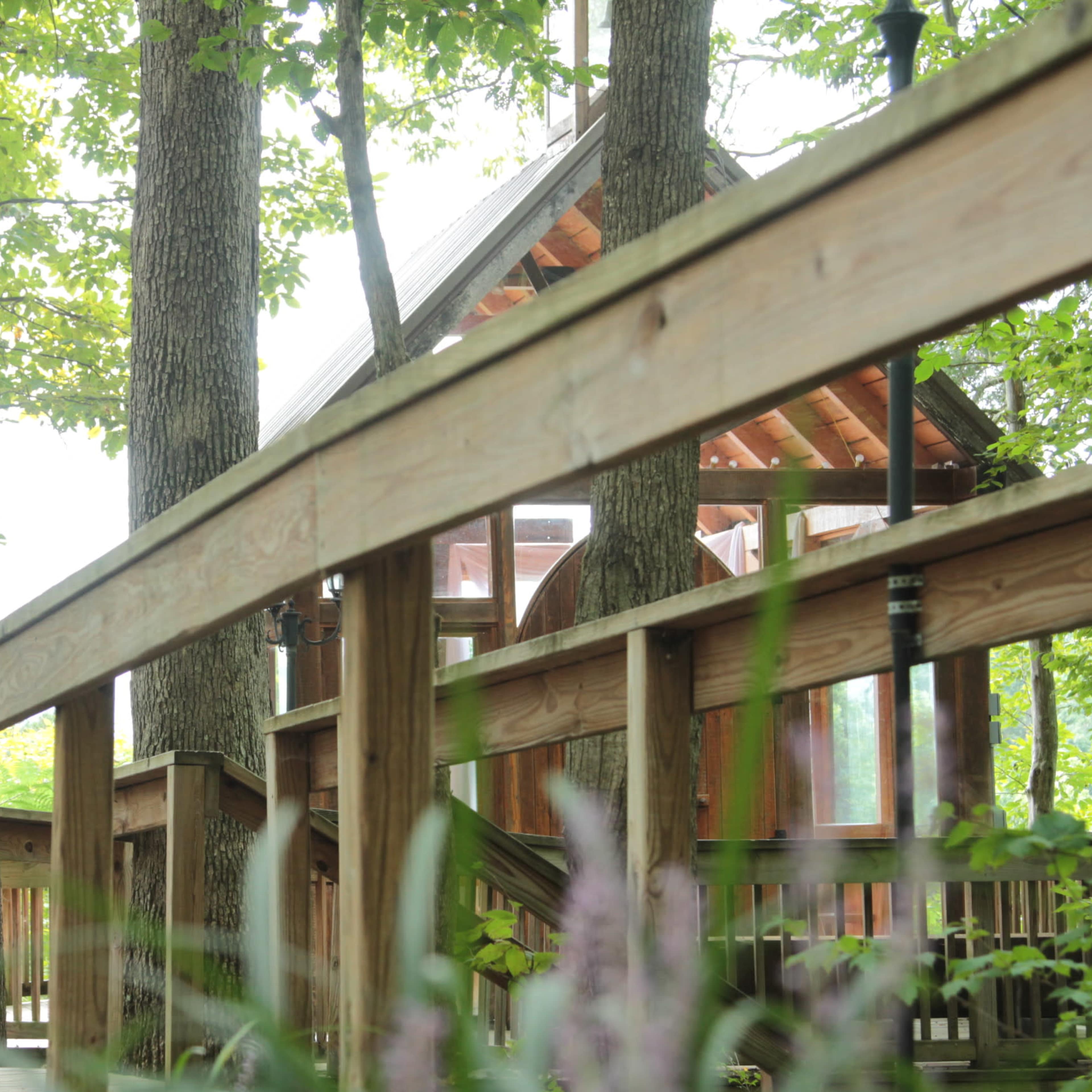 A wooden walkway leads to a structure nestled among trees in a natural setting.