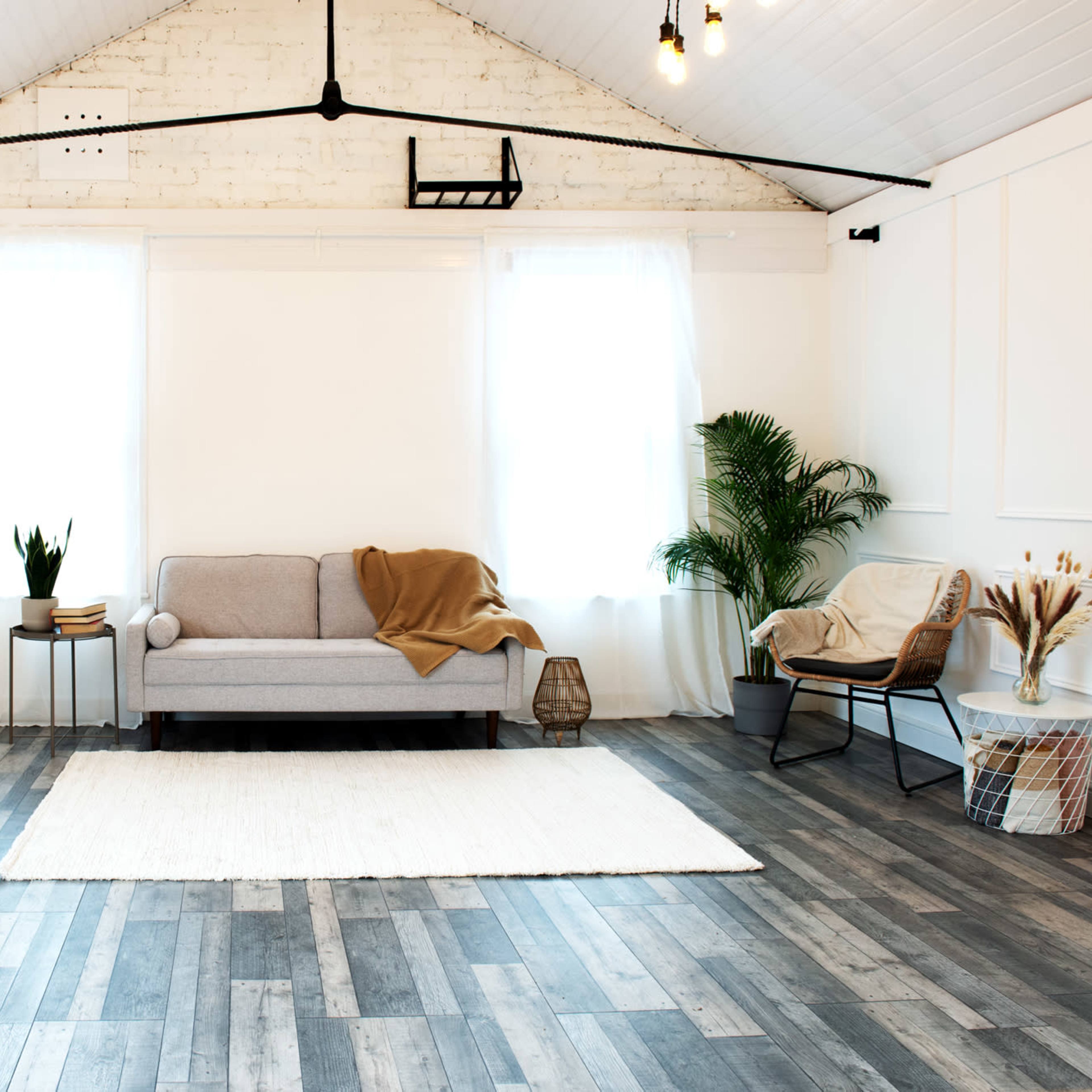 A well-lit, minimalist room featuring a gray sofa, a large area rug, a potted plant, and natural light streaming through two windows.