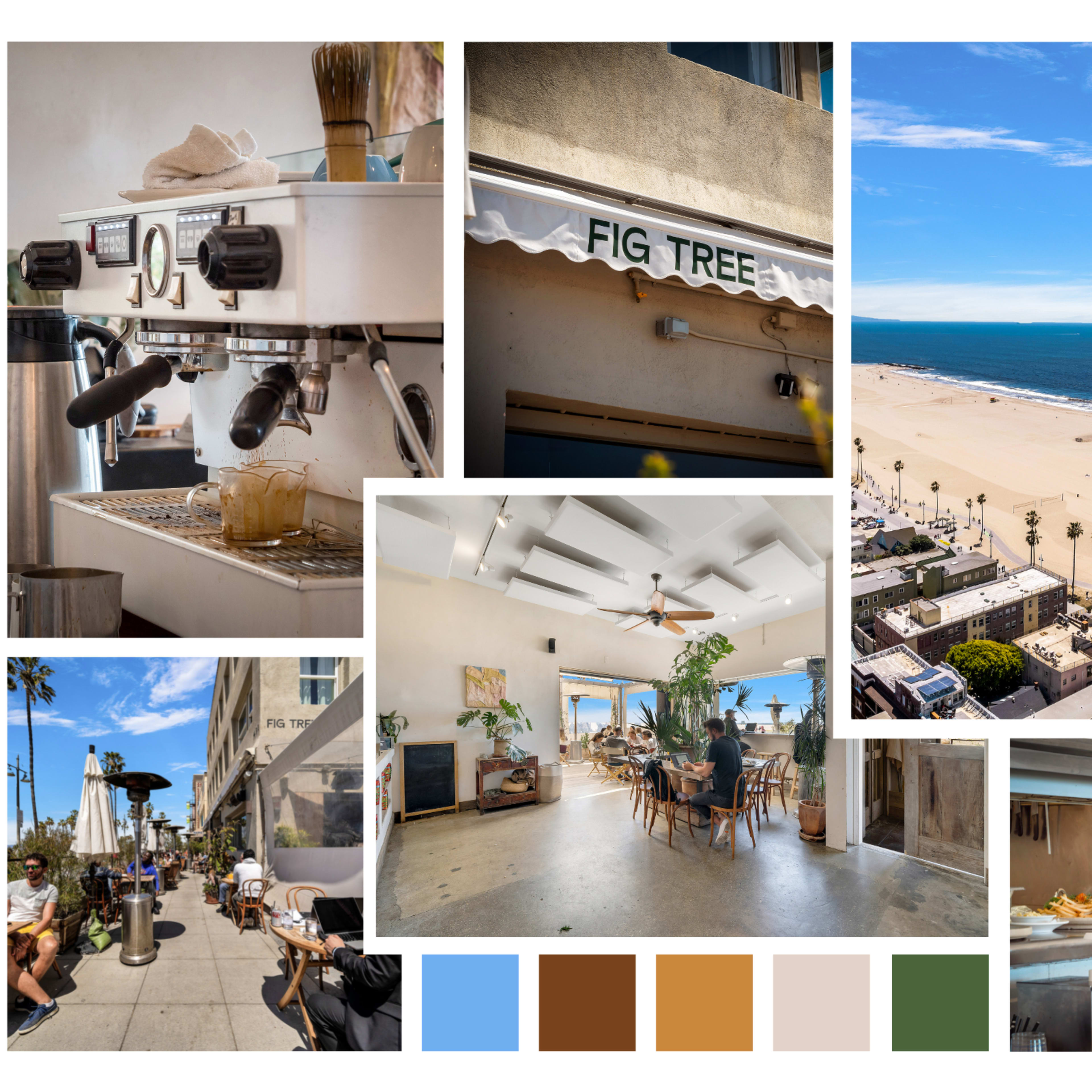 A collage of scenes from a café named Fig Tree, showcasing a coffee machine, beach view, interior dining area, and outdoor seating along the coastline.