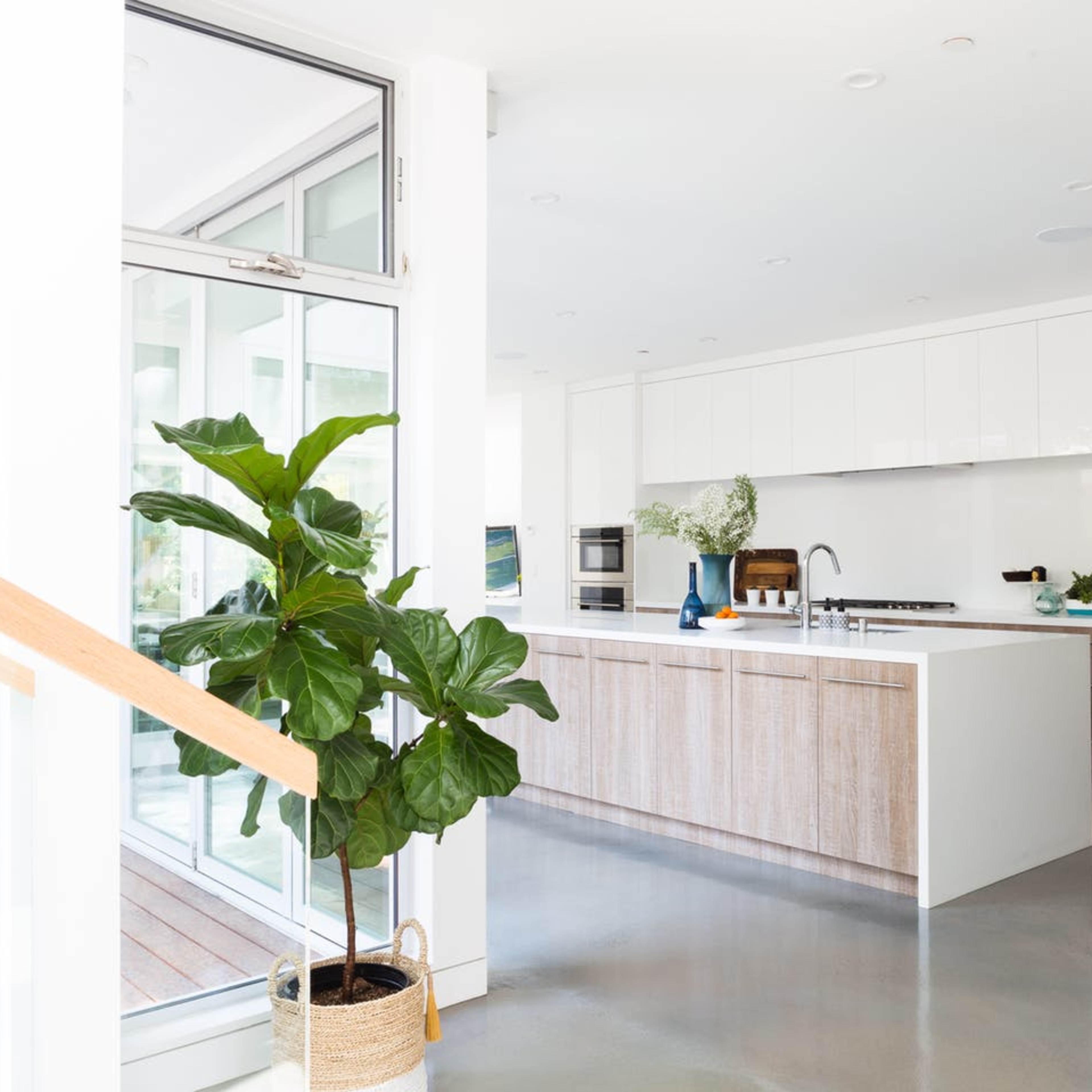 A modern kitchen with a wooden island and a large window allowing natural light to fill the space, along with a potted plant in the corner.