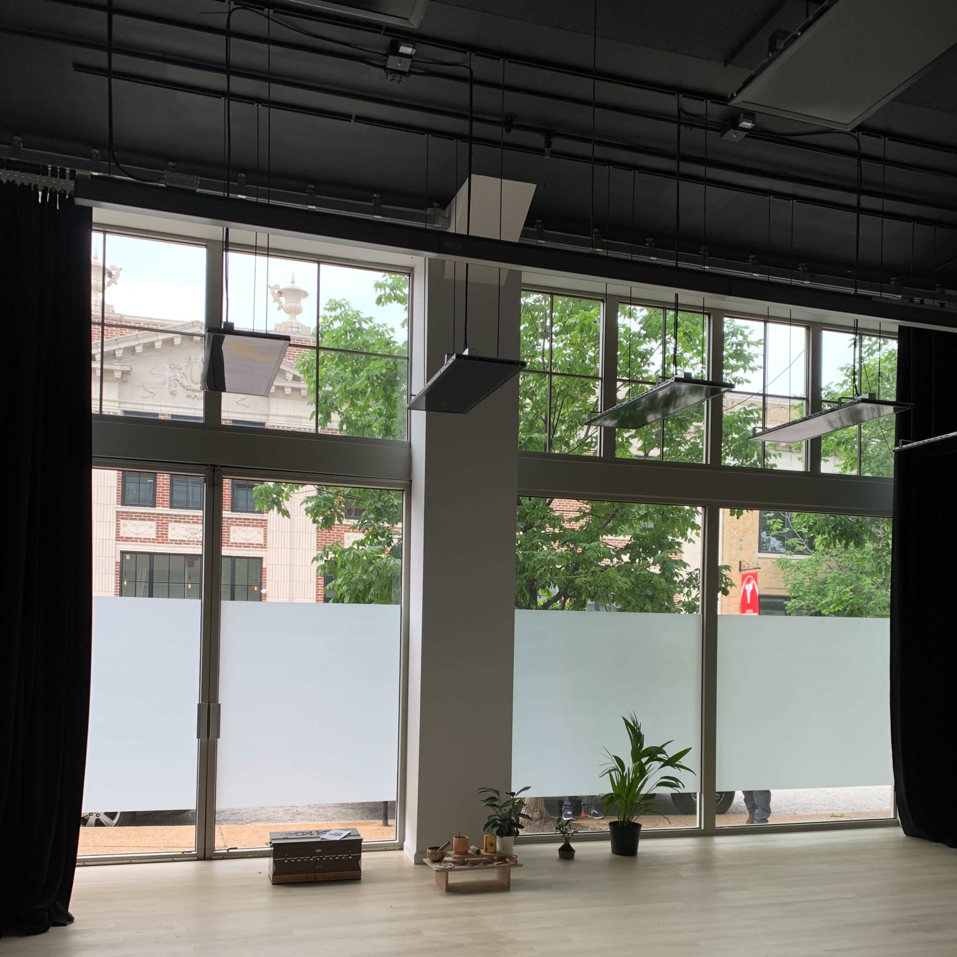 An empty interior space with large windows facing a street, partially obscured by frosted glass, and featuring a potted plant in the foreground.